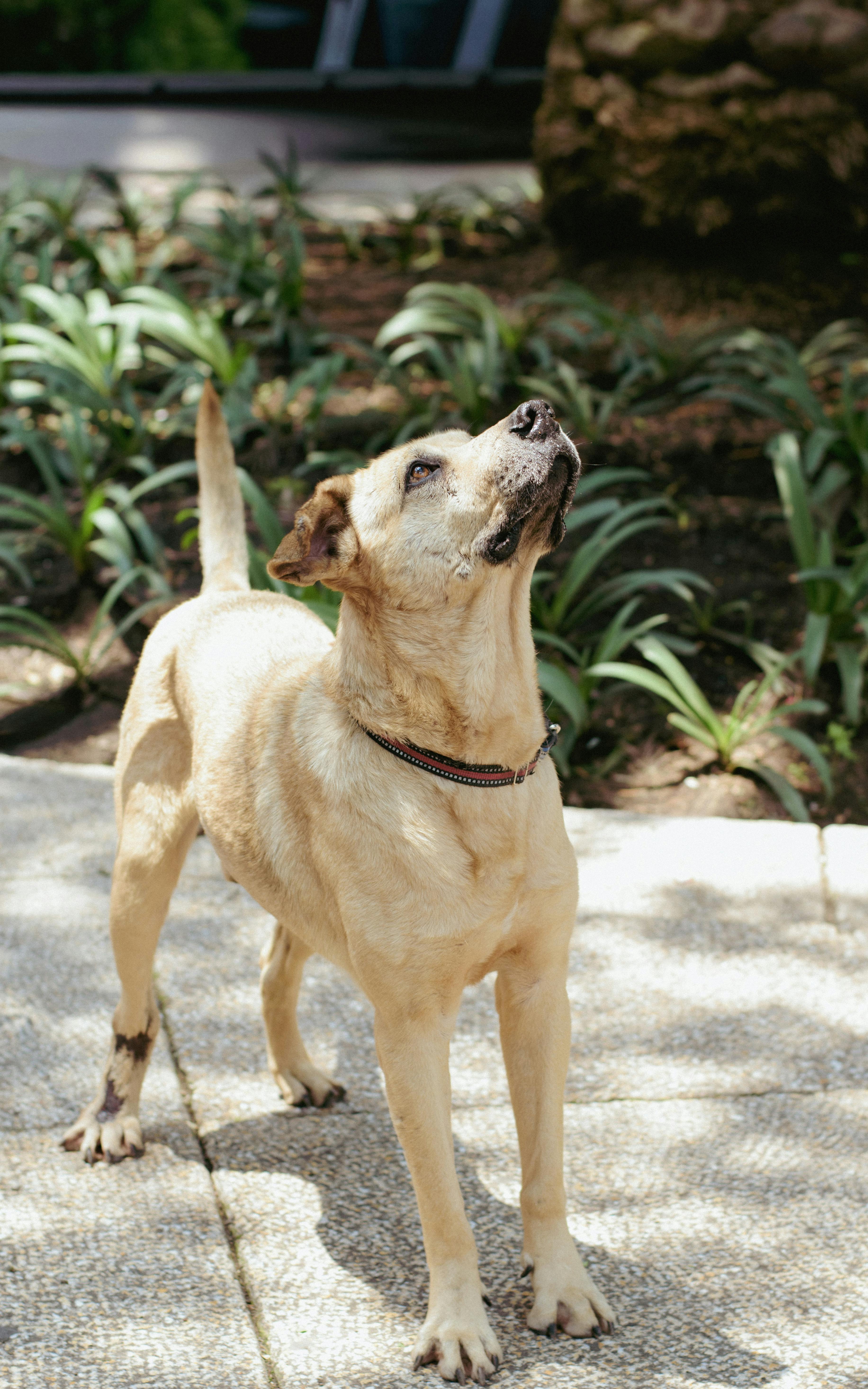 Free+Pictures+Wild+Amaginations Photos, Download The BEST Free Free