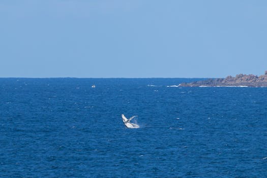 Wollongong, Australia photo 19