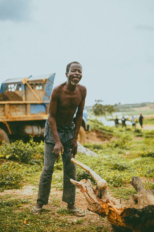 Free Joyful farmer standing beside a tree trunk in a lush field with a truck in the background. Stock Photo