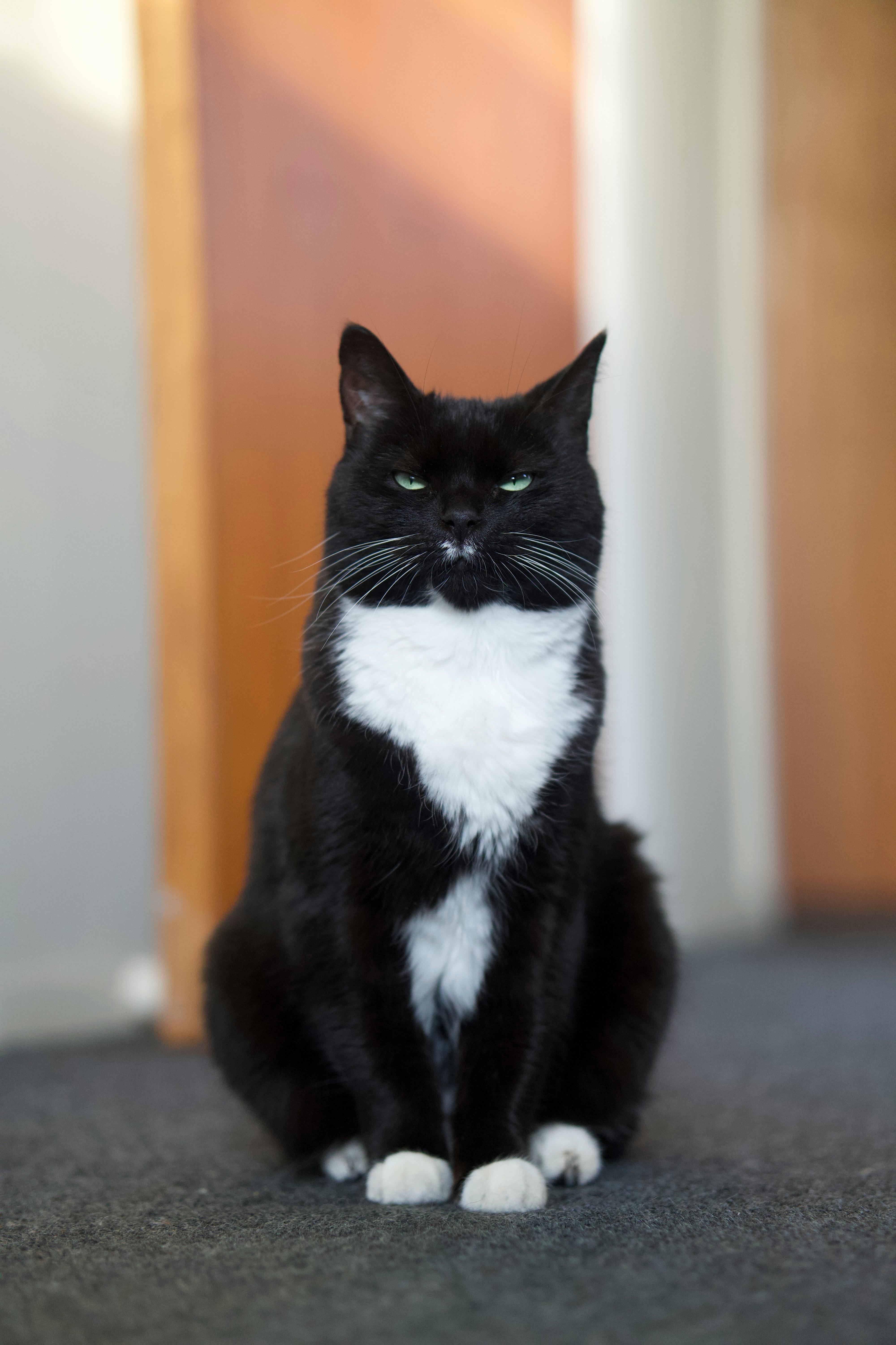 Blondes+Spread+Legs+Naked Photos, Download The BEST Free Blondes+Spread