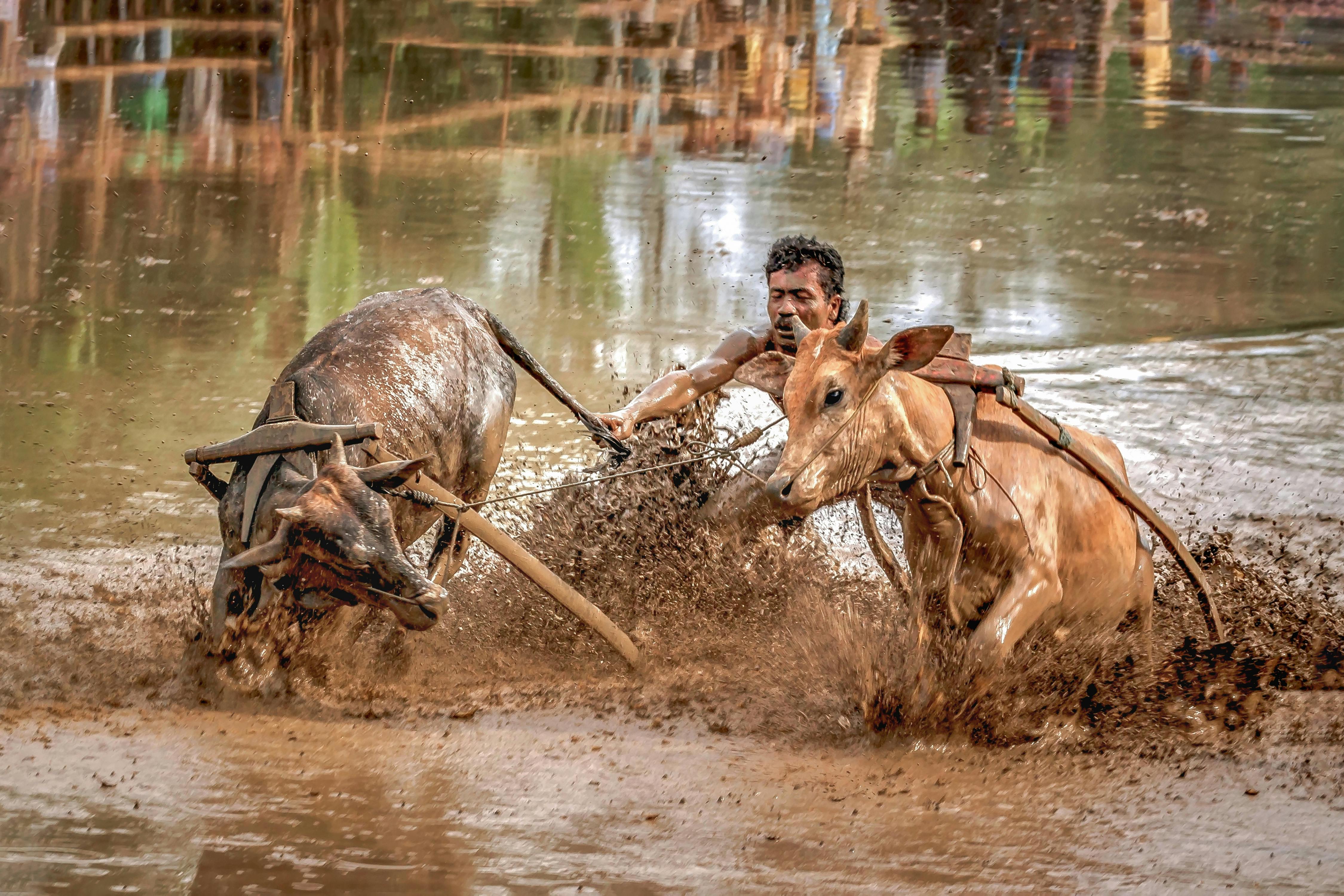 財米油鹽︱服貿會揭秘黑科技如何徹底改造體育課