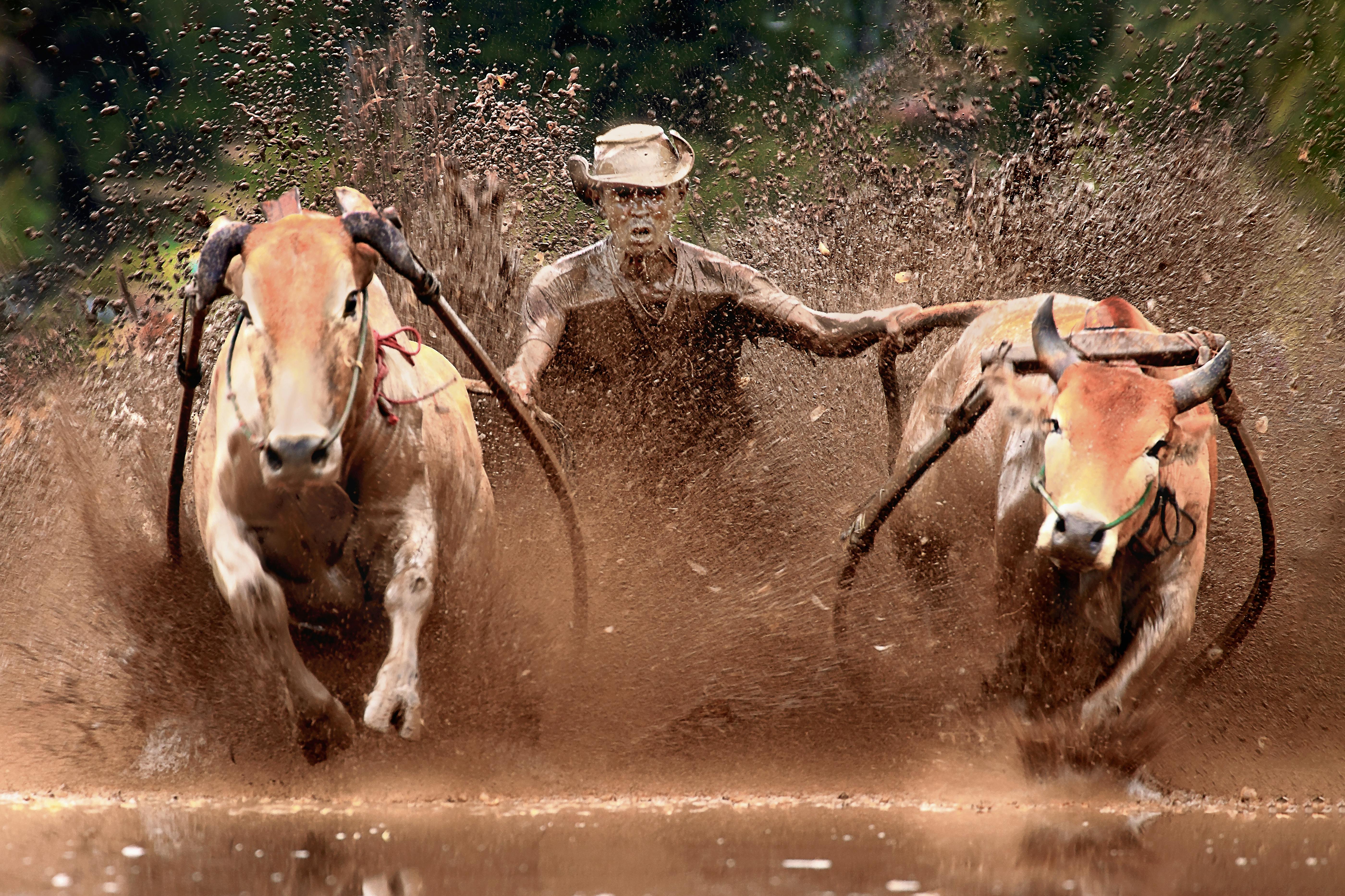 財米油鹽︱服貿會揭秘黑科技如何徹底改造體育課