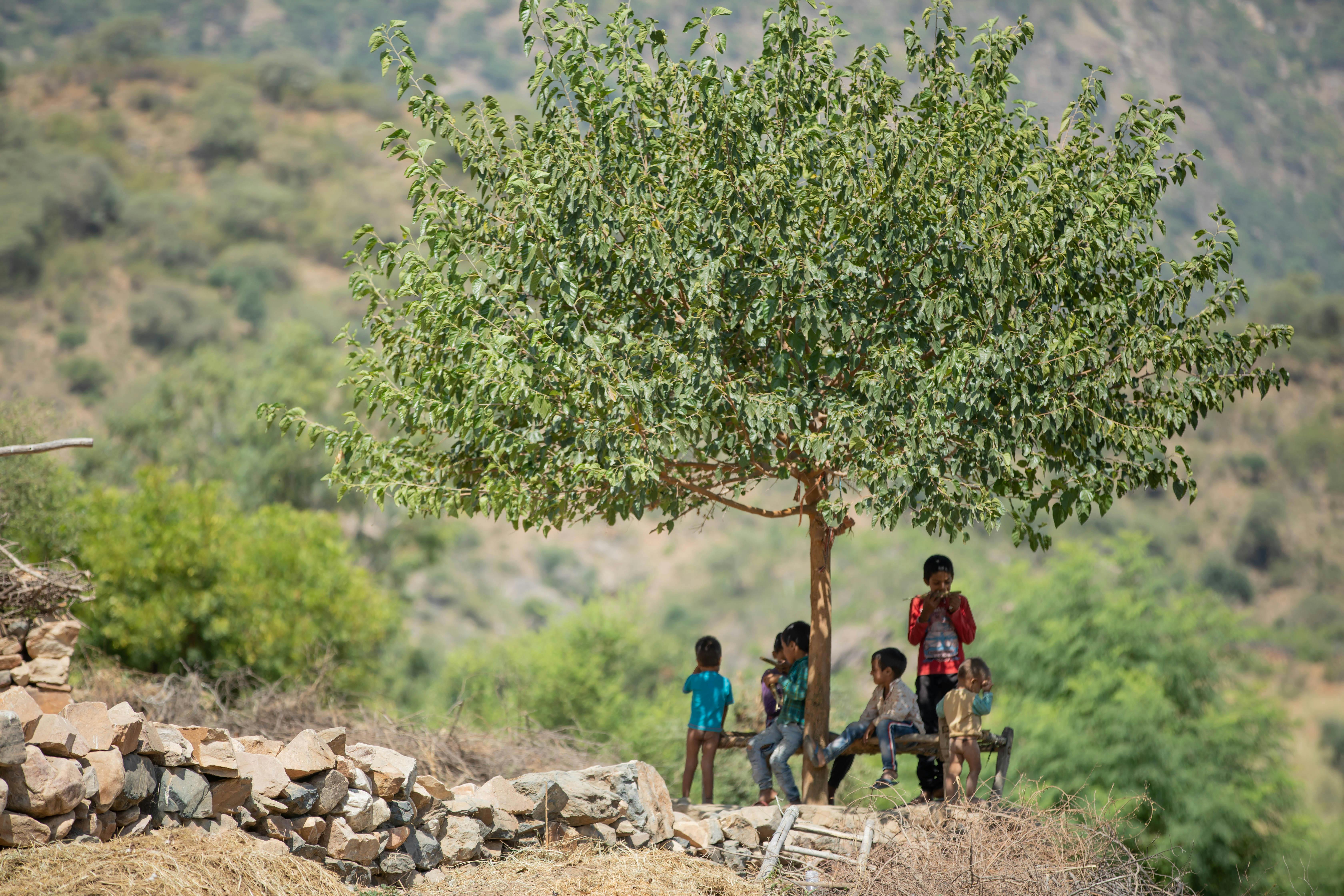 Viral Prank Family Reactions: The Ultimate Guide