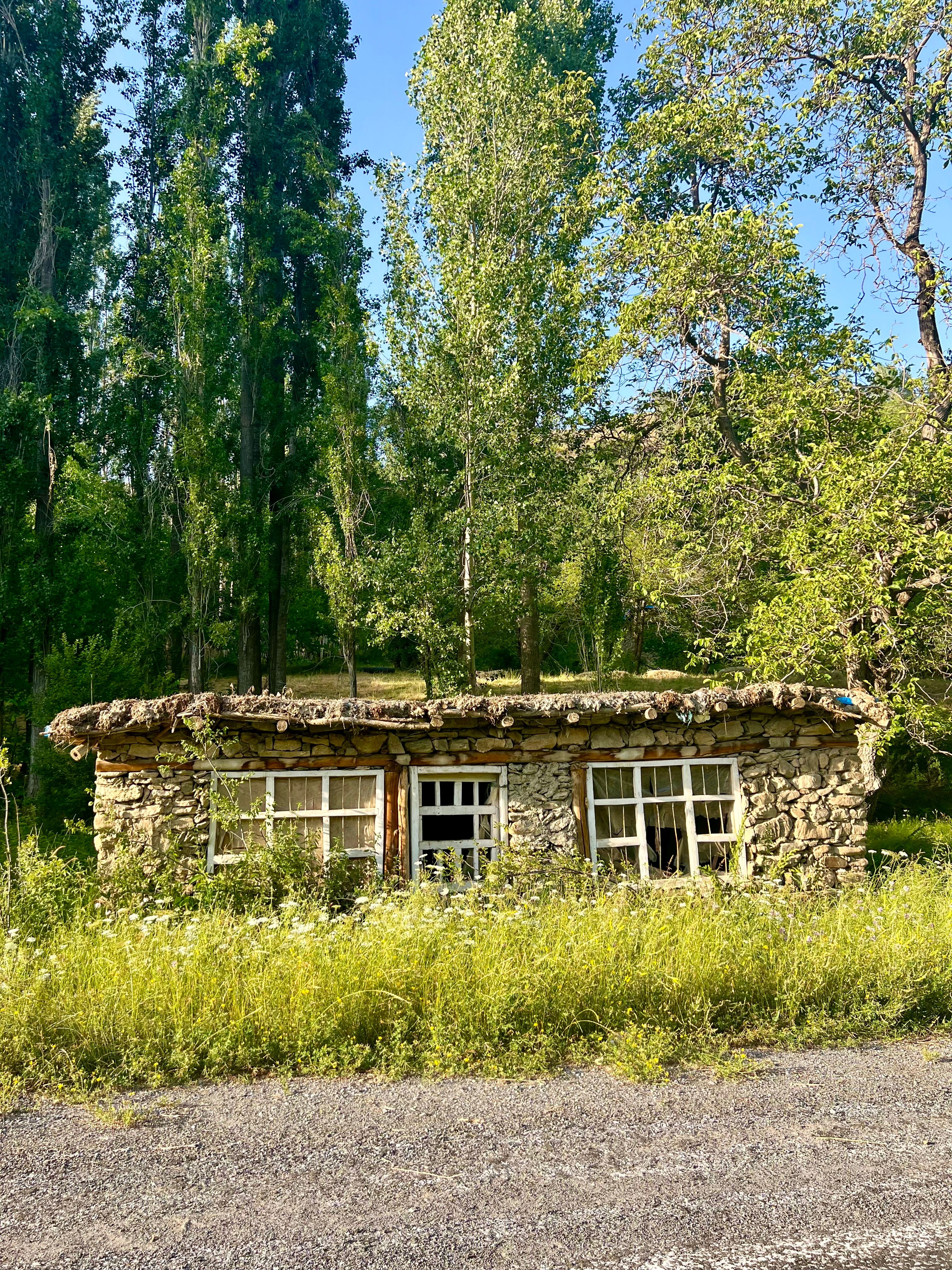 Rustic Stone Cottage in Lush Forest Landscape · Free Stock Photo
