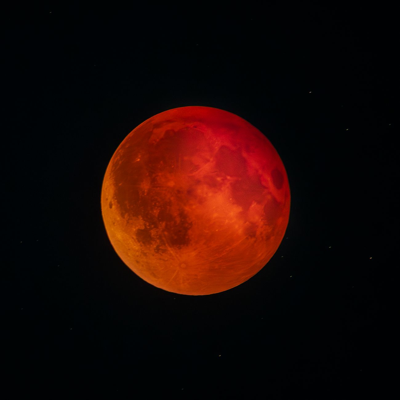 Total lunar eclipse showcasing a vibrant blood moon surrounded by starry sky.