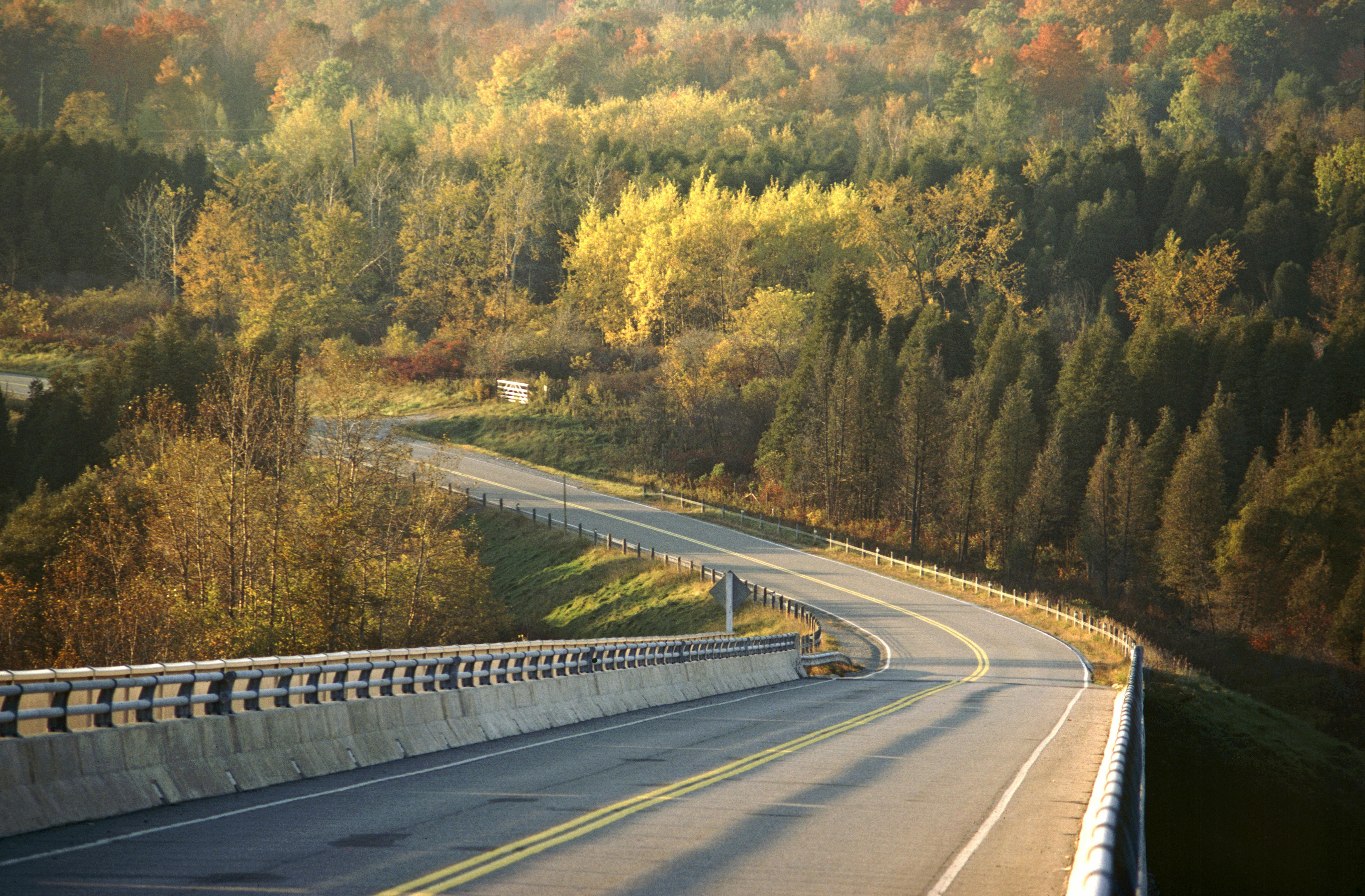 Federal reclassification benefits Vermont medical cannabis program — Photo by Michael Hamments on Pexels