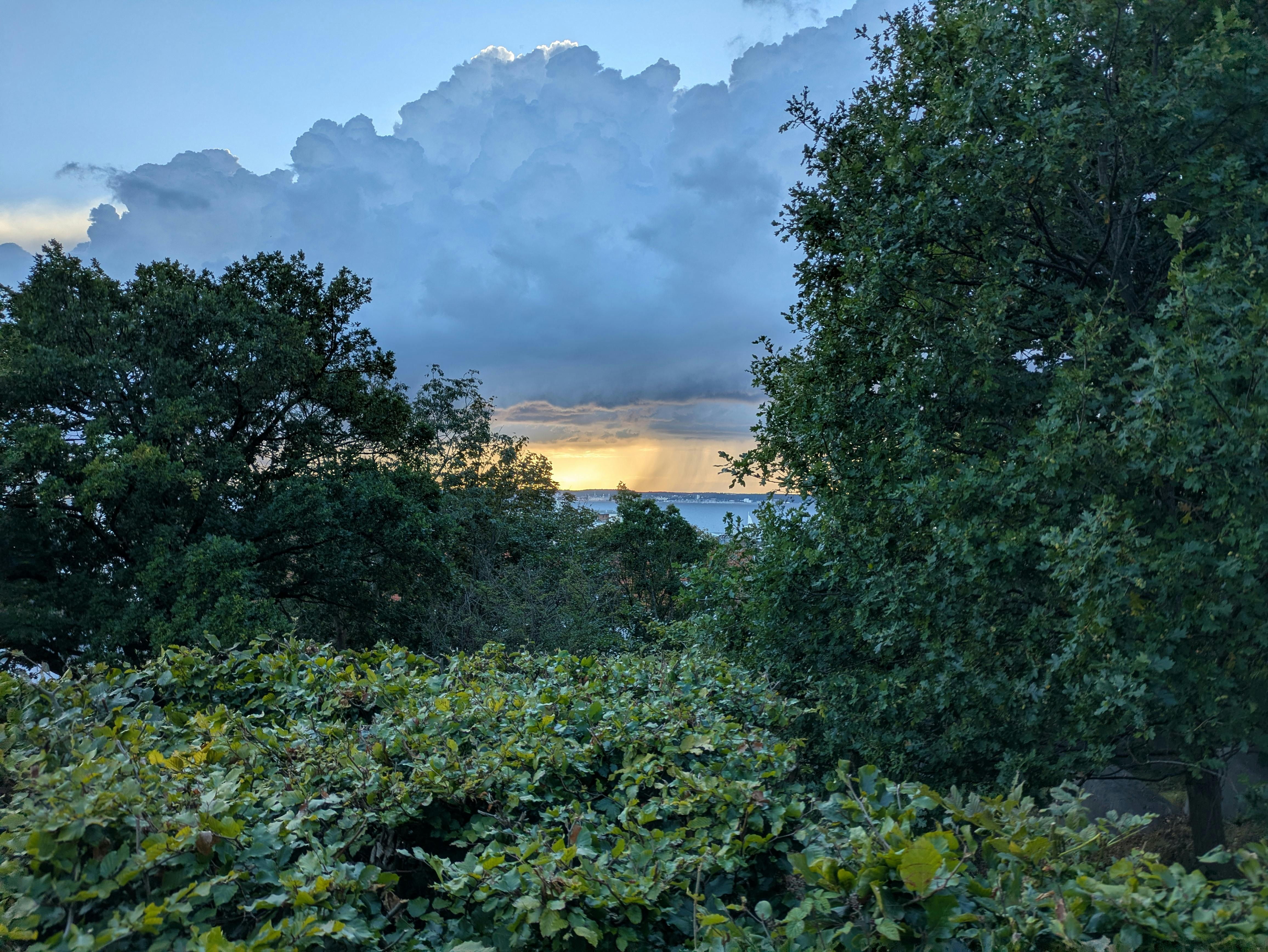 Dallas-Fort Worth hailstorms are fueling a home insurance spike — Photo by Jakob Andersson on Pexels