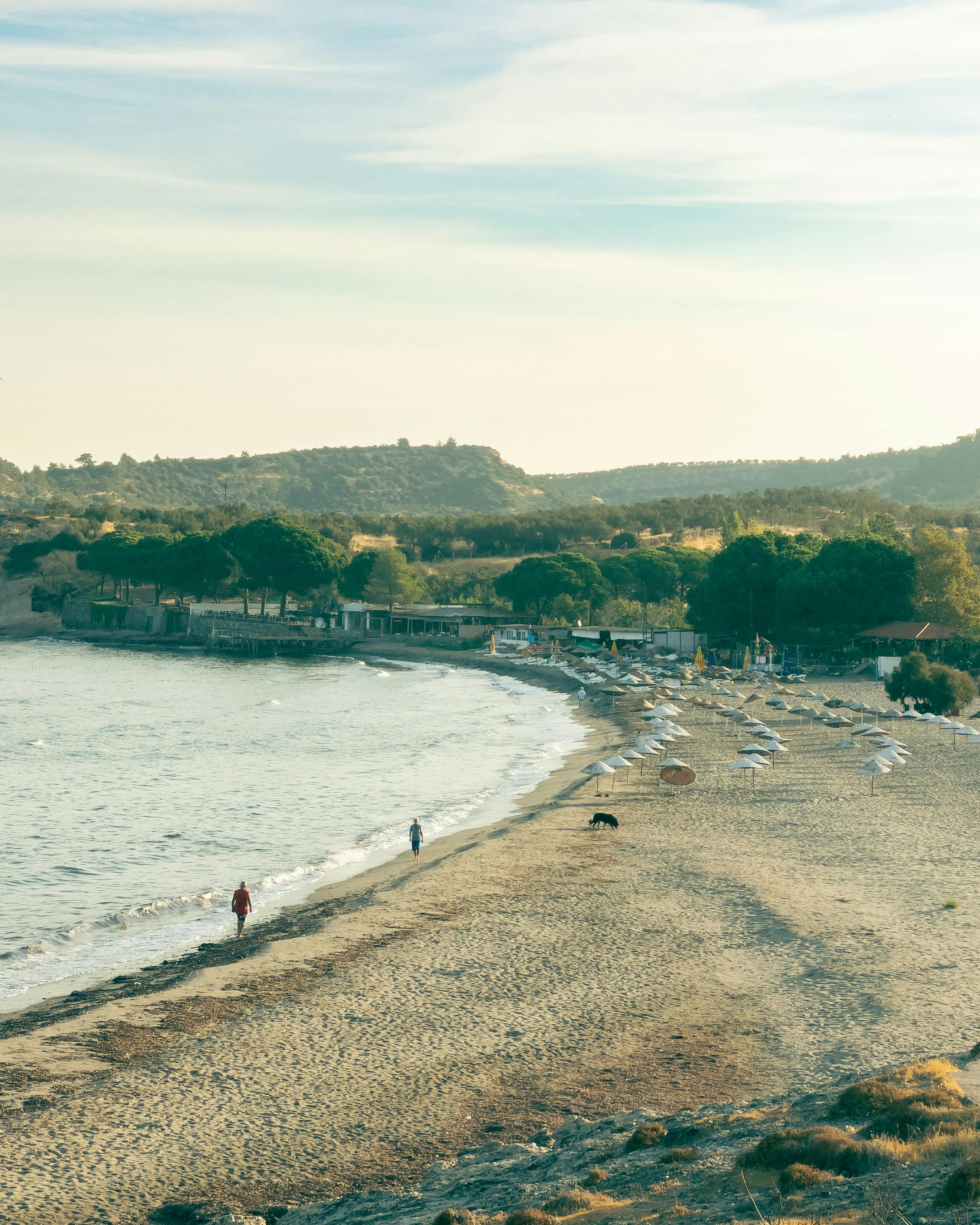 Naked+Men+On+The+Beach Photos, Download The BEST Free Naked+Men+On+The+Beach Stock Photos & HD