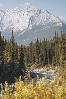 Breathtaking view of a river and mountains in Jasper, Alberta during a sunny day.