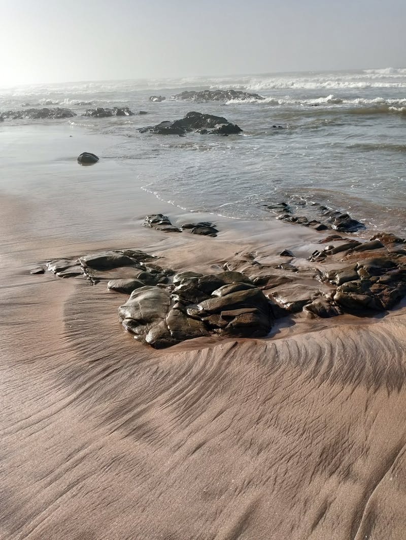 Nice+Ass+On+The+Beach Photos, Download The BEST Free Nice+Ass+On+The