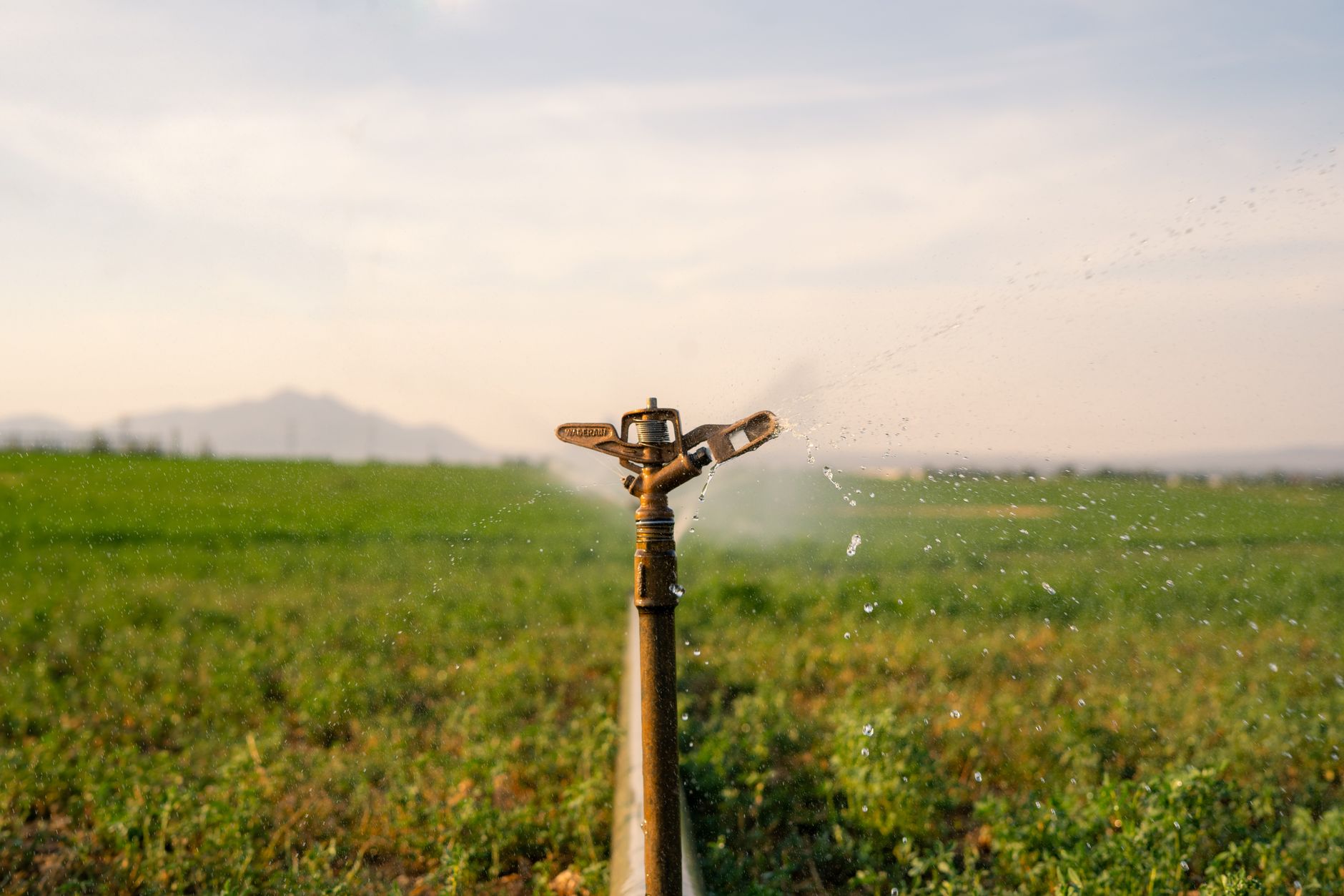 A sprinkler watering a vast green field under a clear sky, showcasing modern irrigation technology.