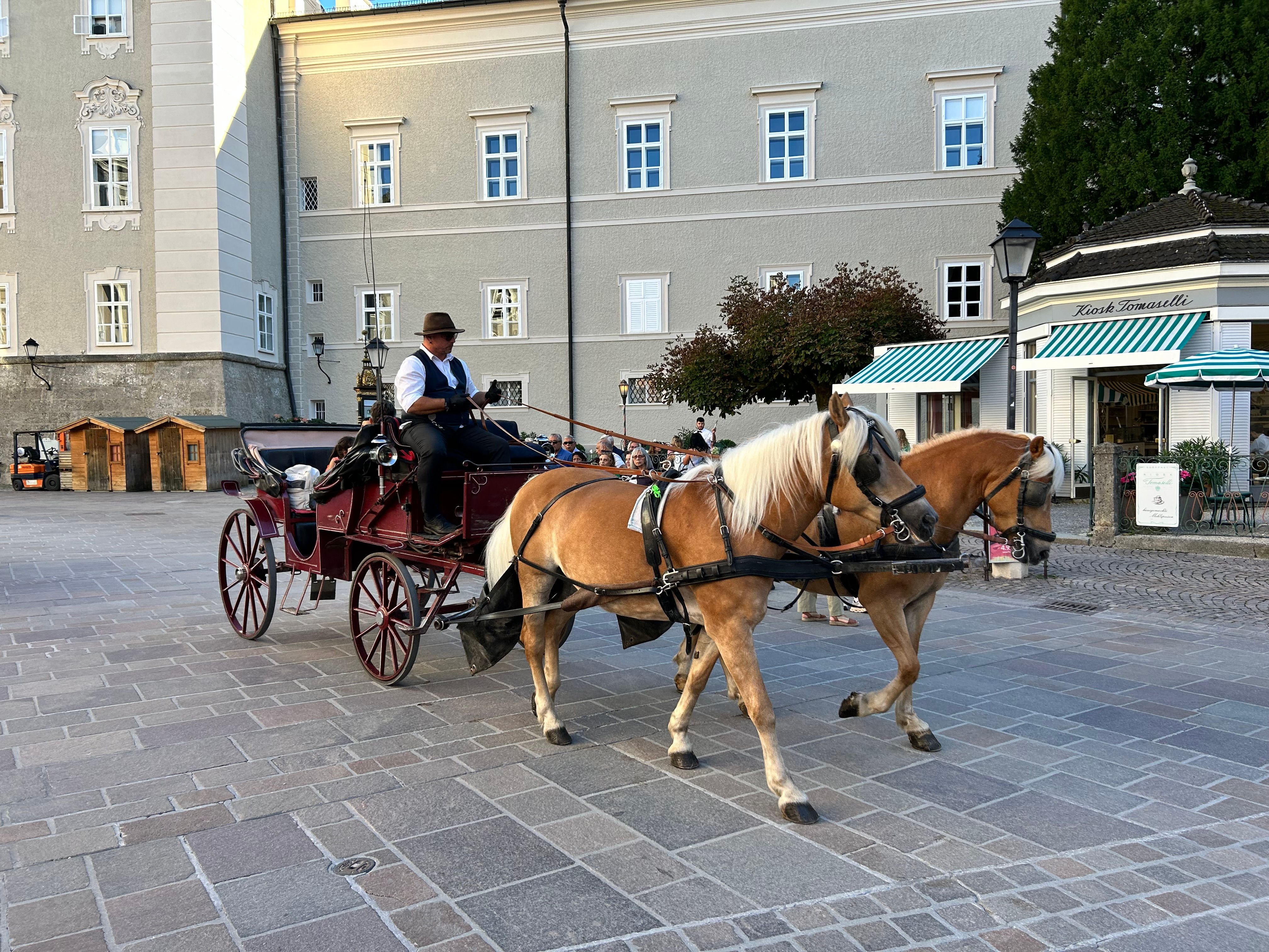 The Sound of Music Tour Salzburg: Unapologetically Cheesy, Unforgettably Fun