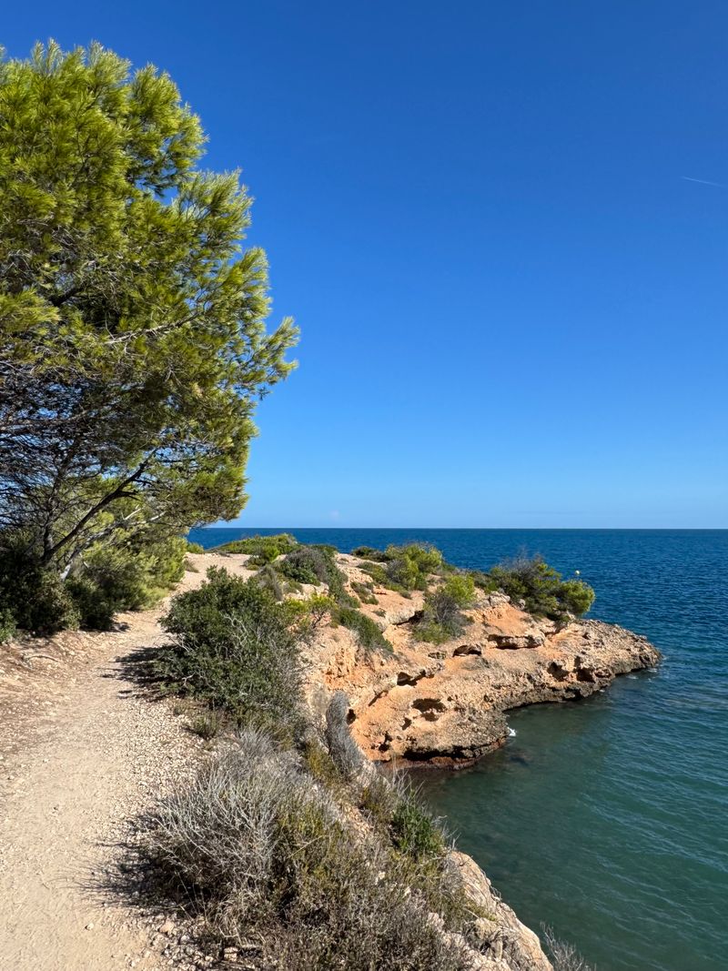 Coastal path beside clear blue sea