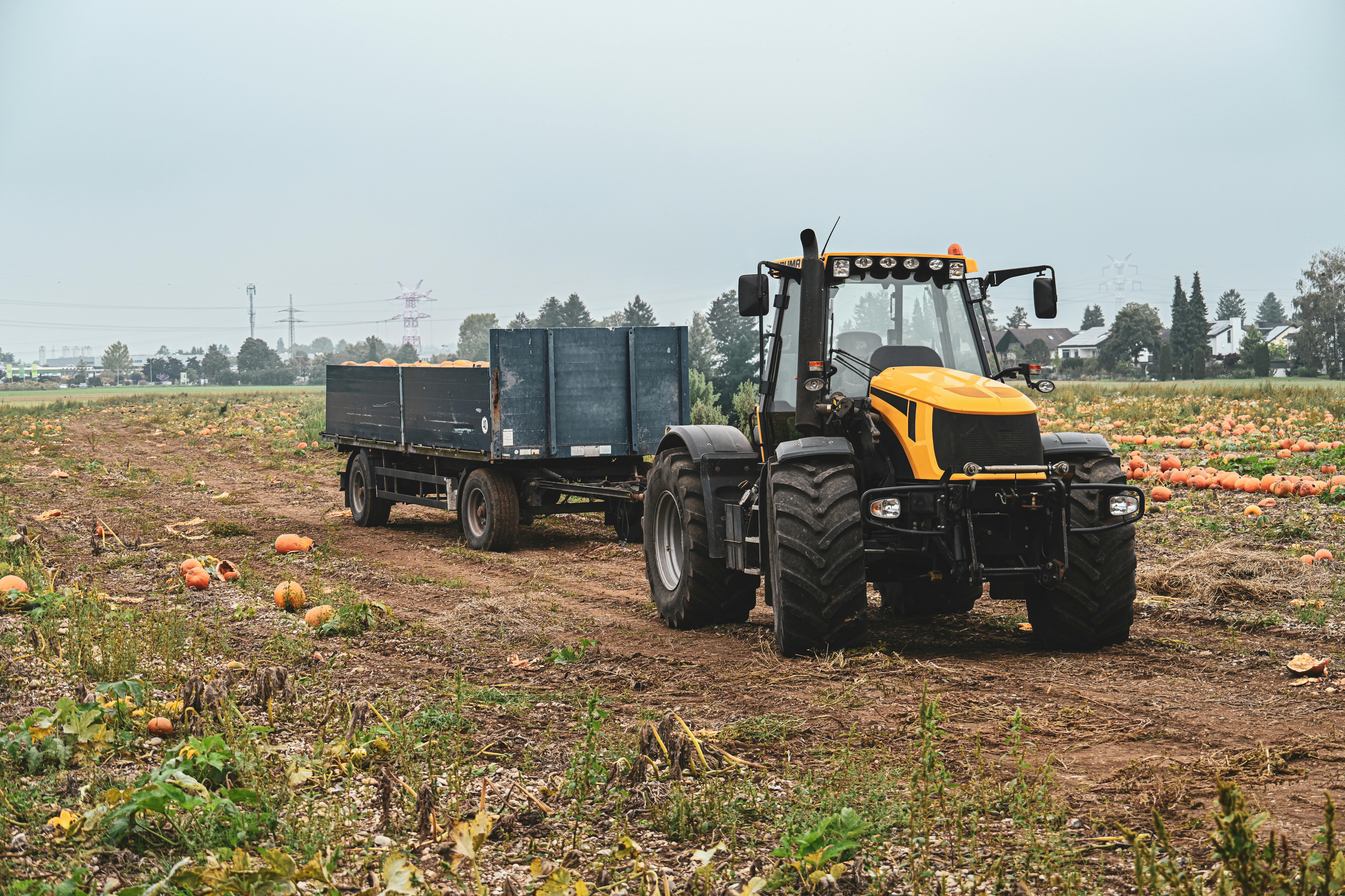 Automation in Business Processes and Customer Service Benefits