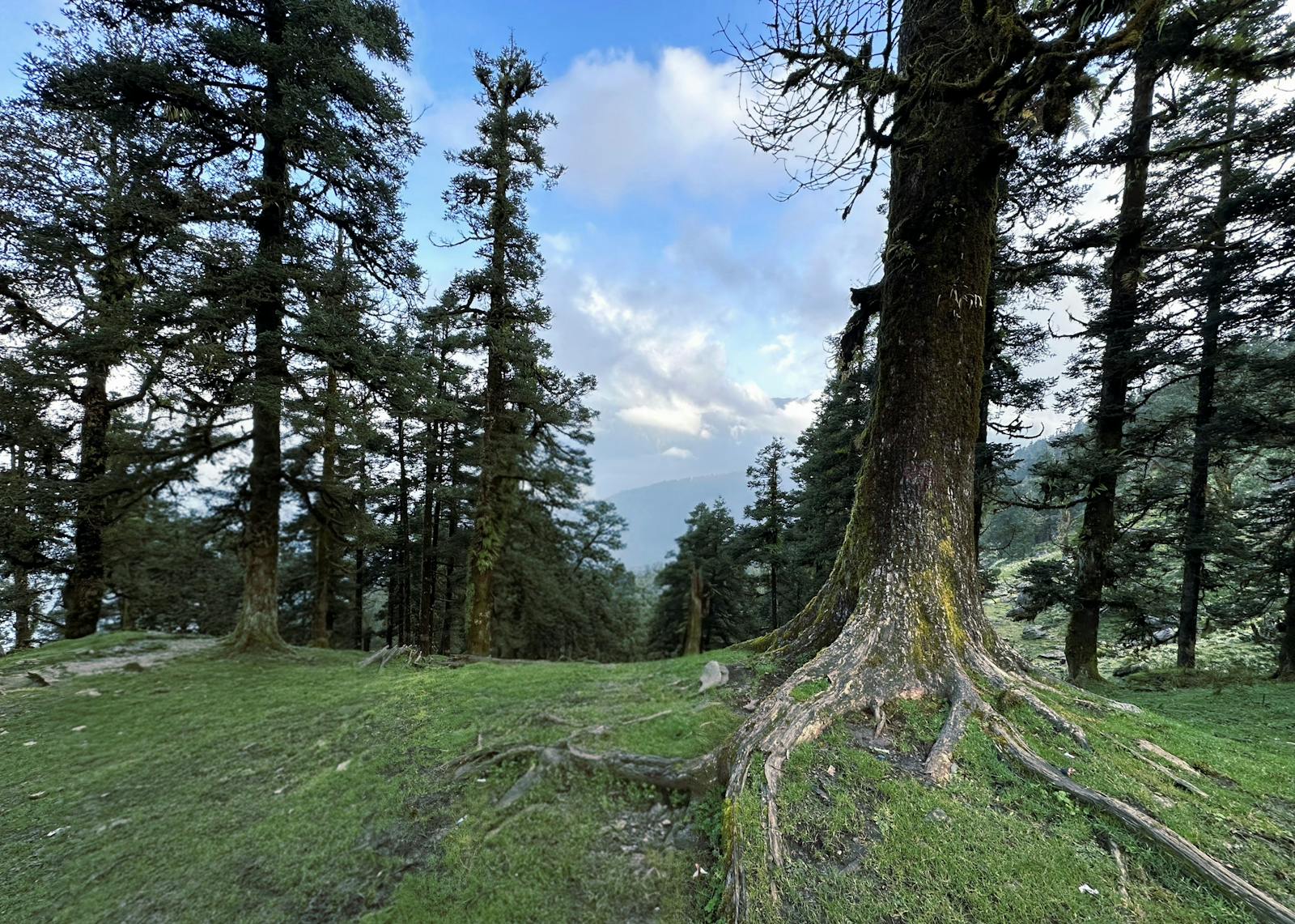 Breckie Hill Of Leek Photos Download The BEST Free Breckie Hill Of