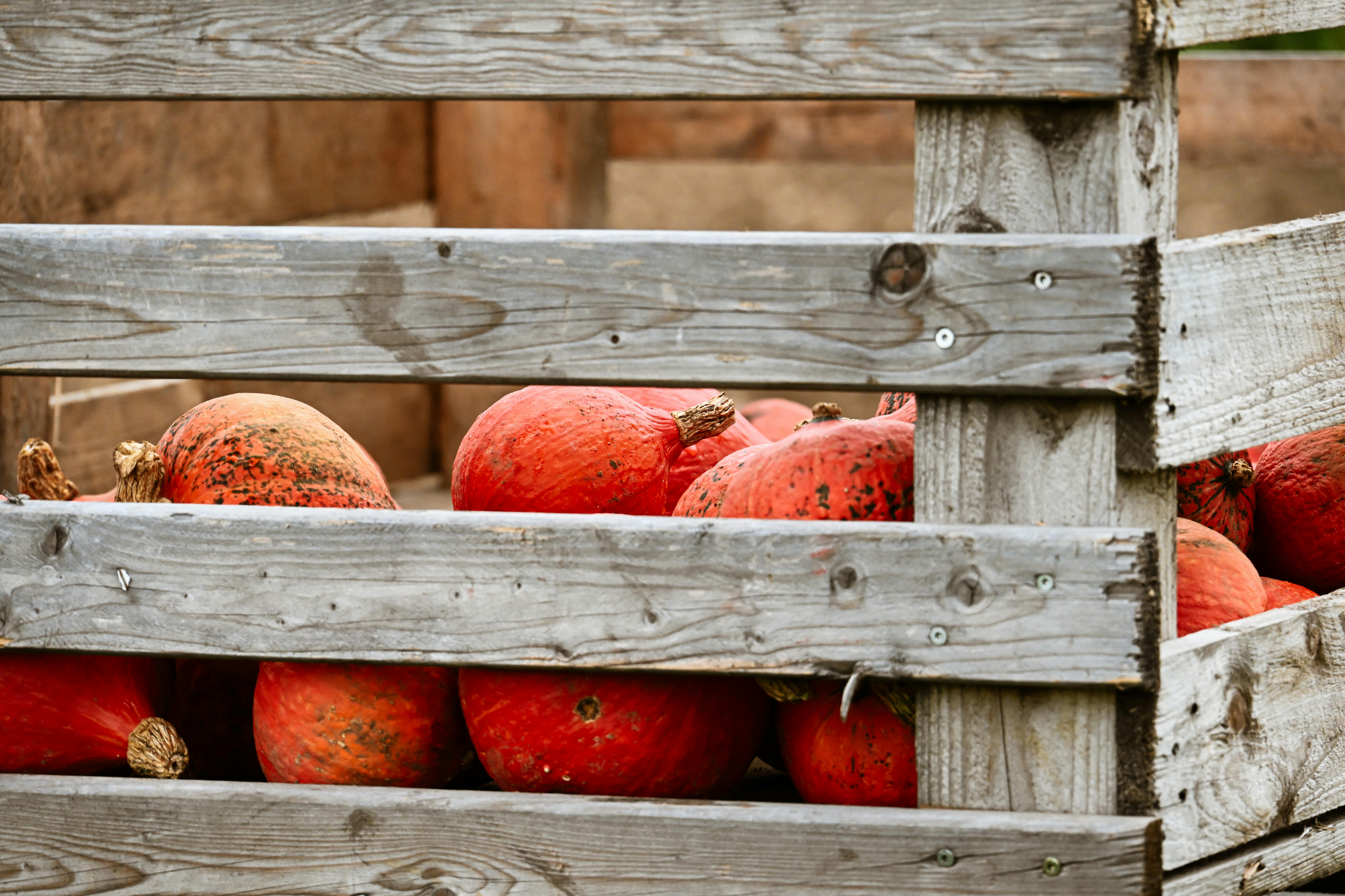 Best Kept Secrets Among Local Communities