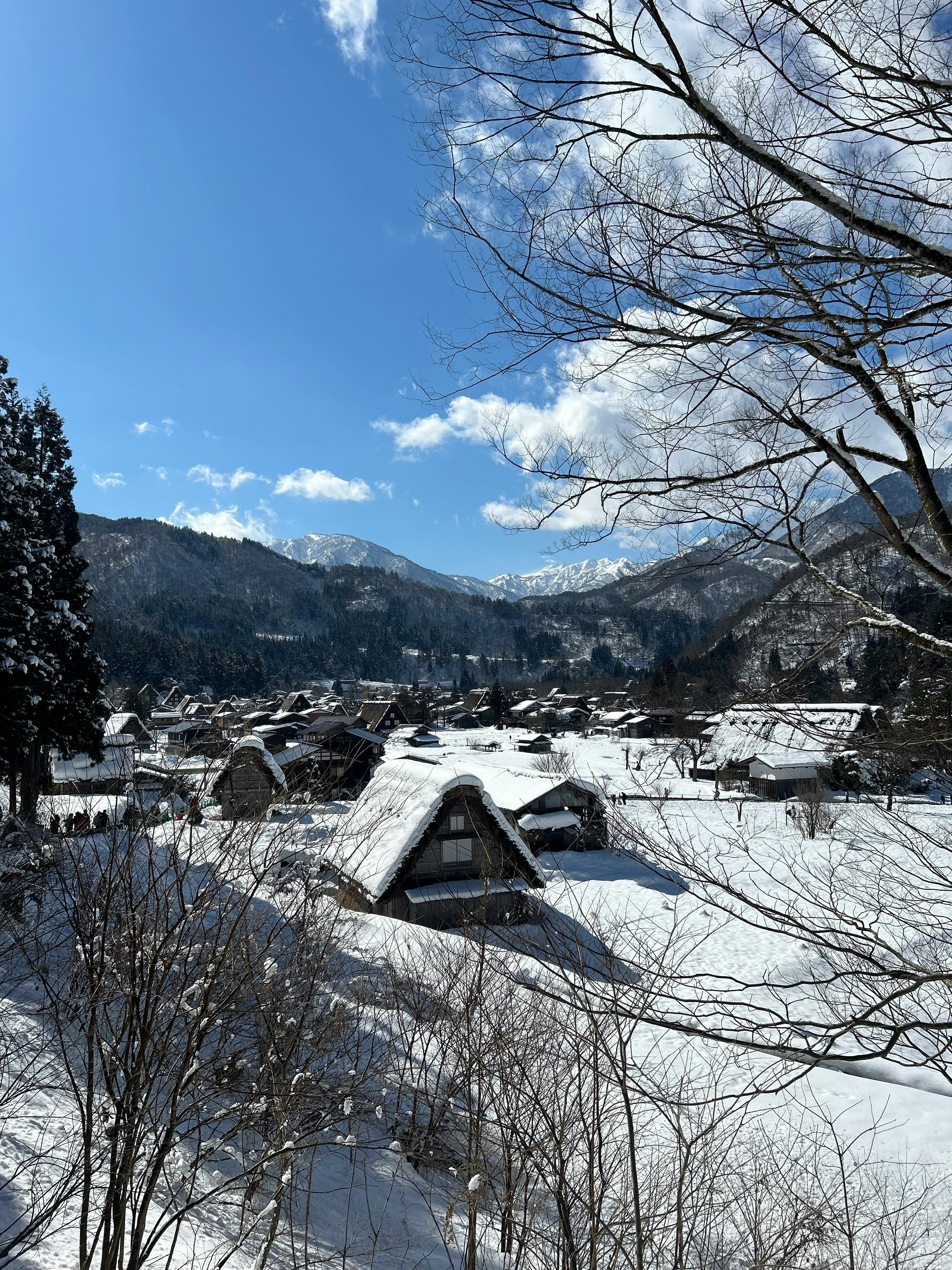 Tips Traveling ke Jepang Ala Webtoon: