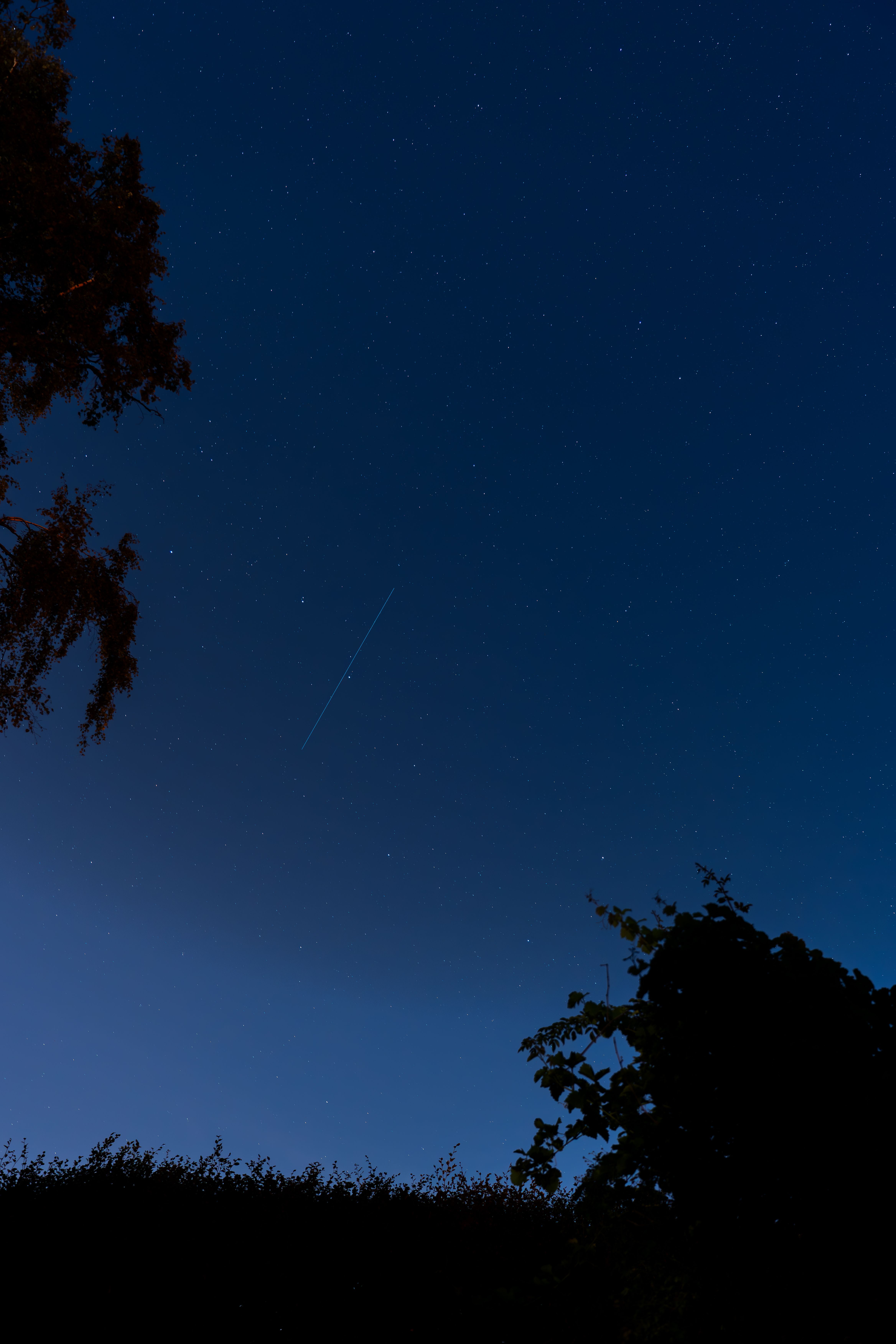 Starlight main image 1