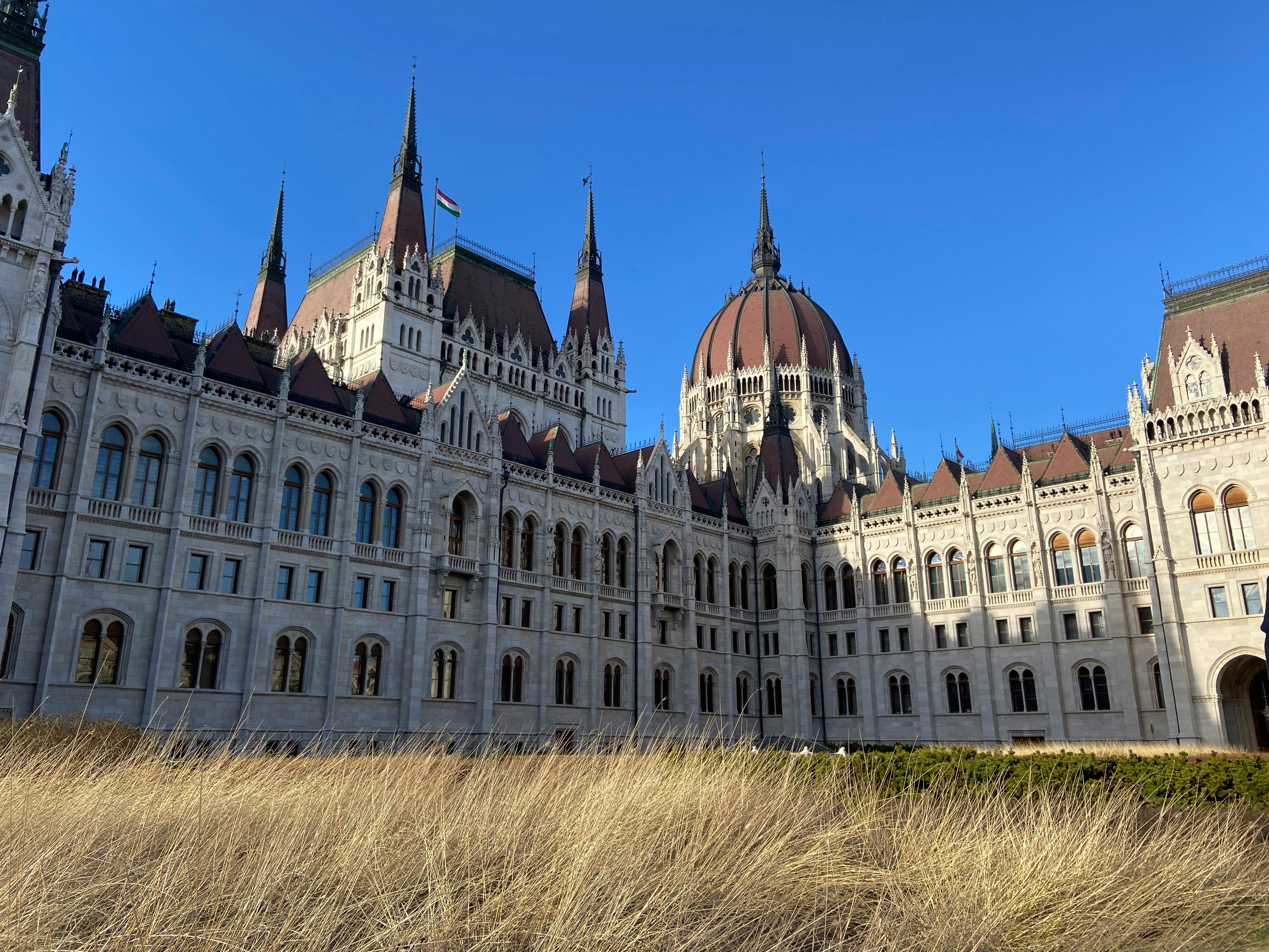 哈維爾·米莉的拒絕決定：揭示艱難的政治反應與挑戰