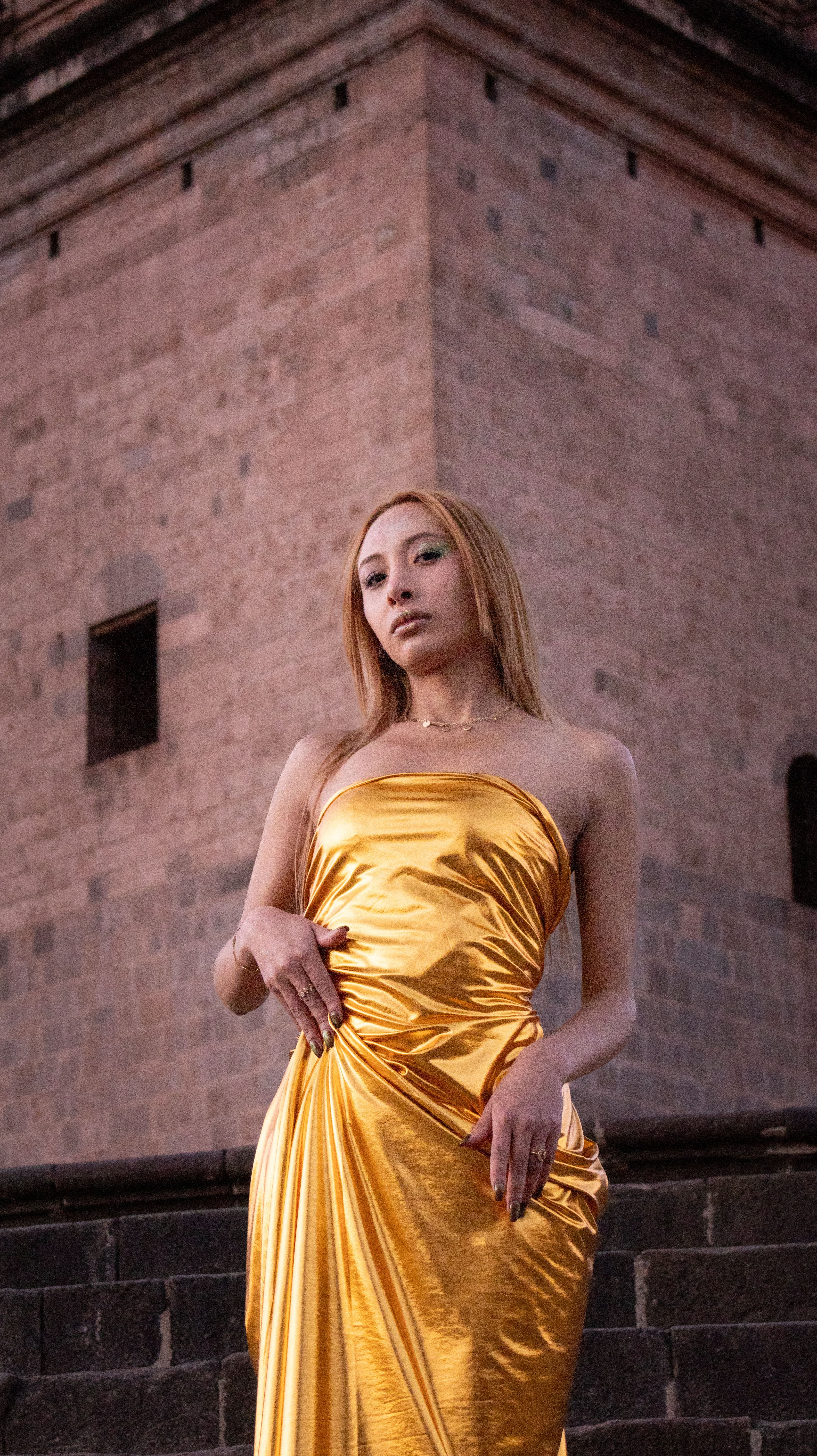 Gold Dress Photos, Download The BEST Free Gold Dress Stock Photos & HD  Images