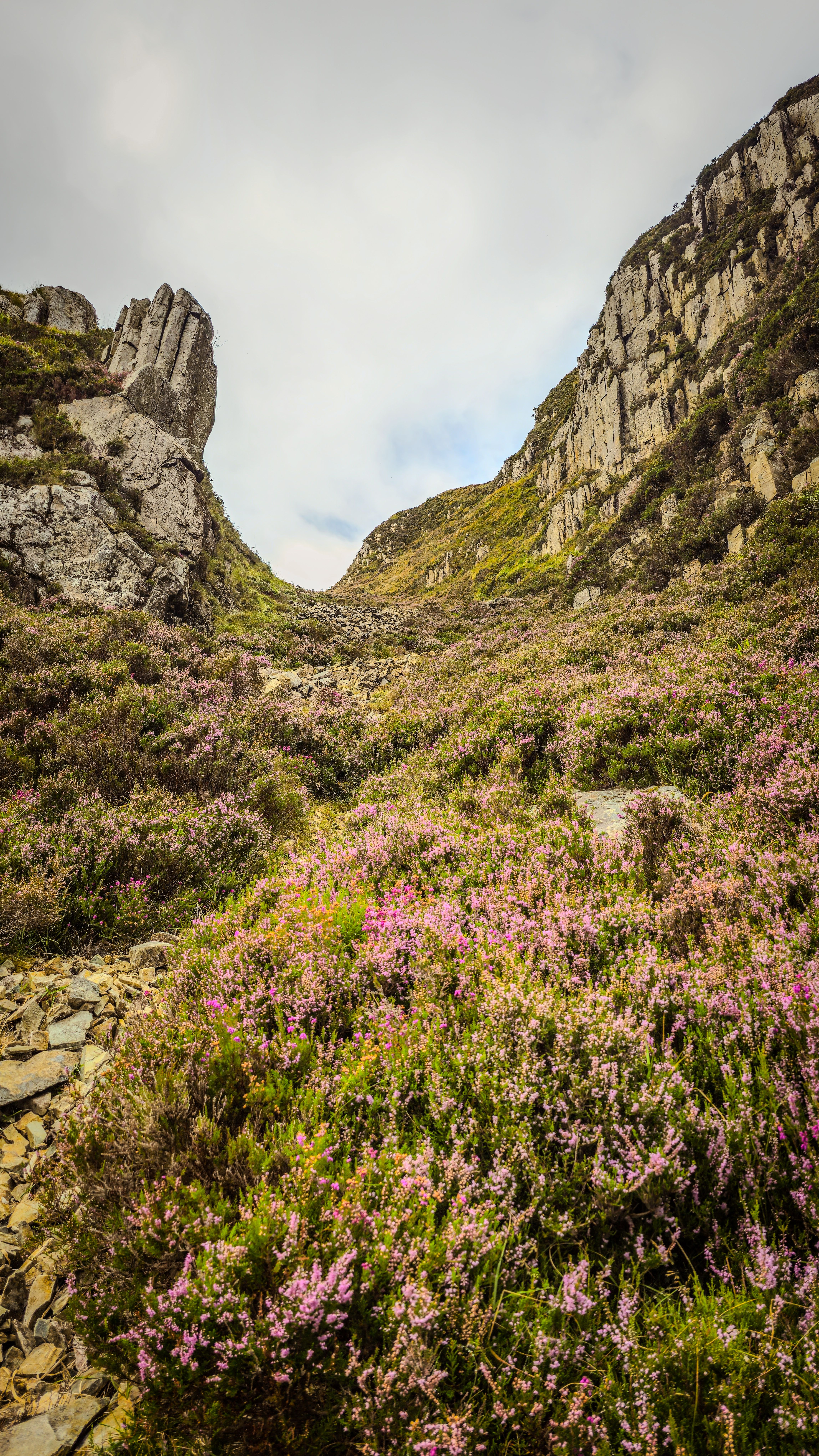 Stunning Landscape of Croaghaun Cliffs in Ireland · Free Stock Photo