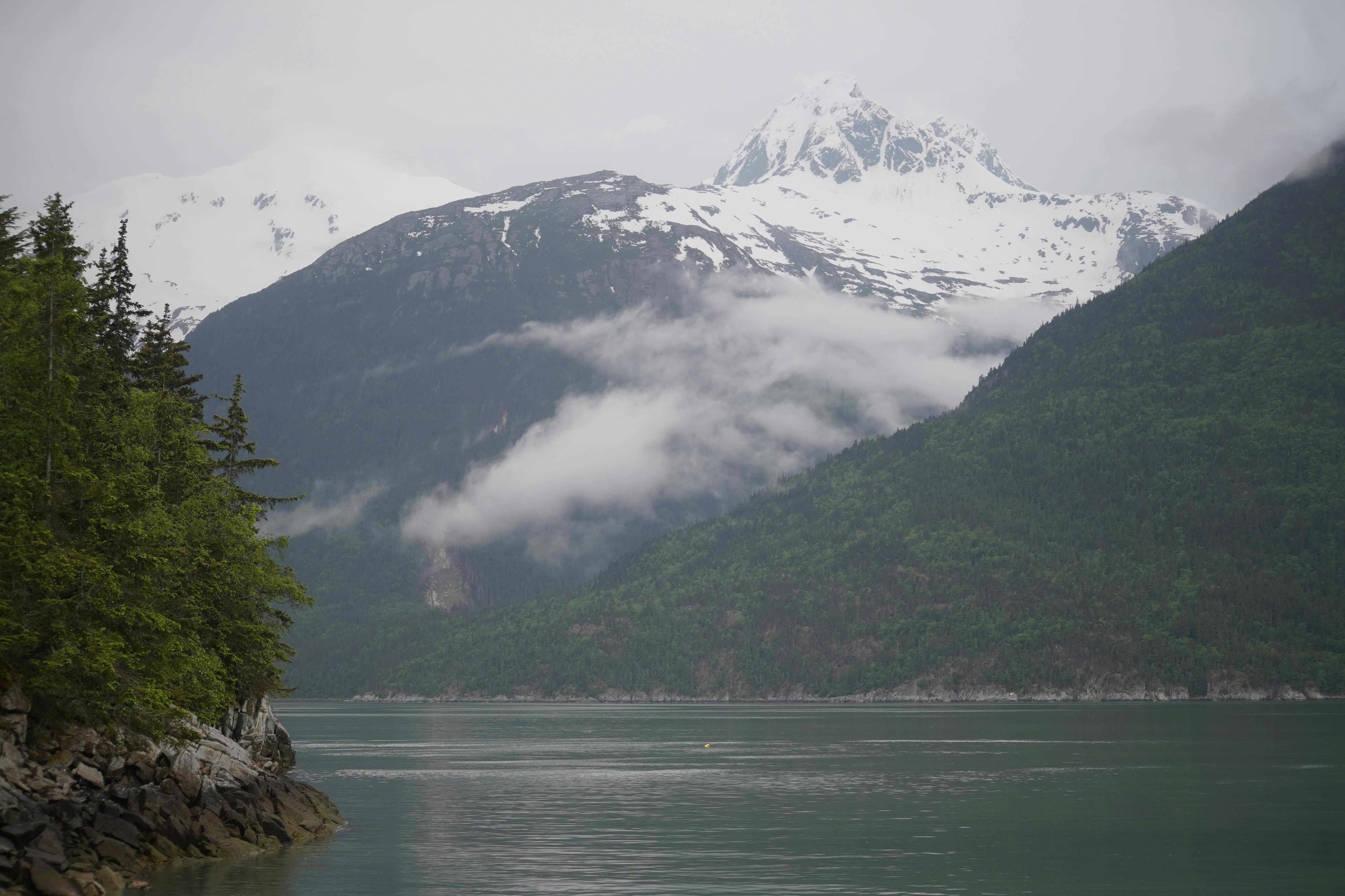 Alaska attorneys to provide free legal help on MLK Day holiday — Photo by Ben Jackson on Pexels
