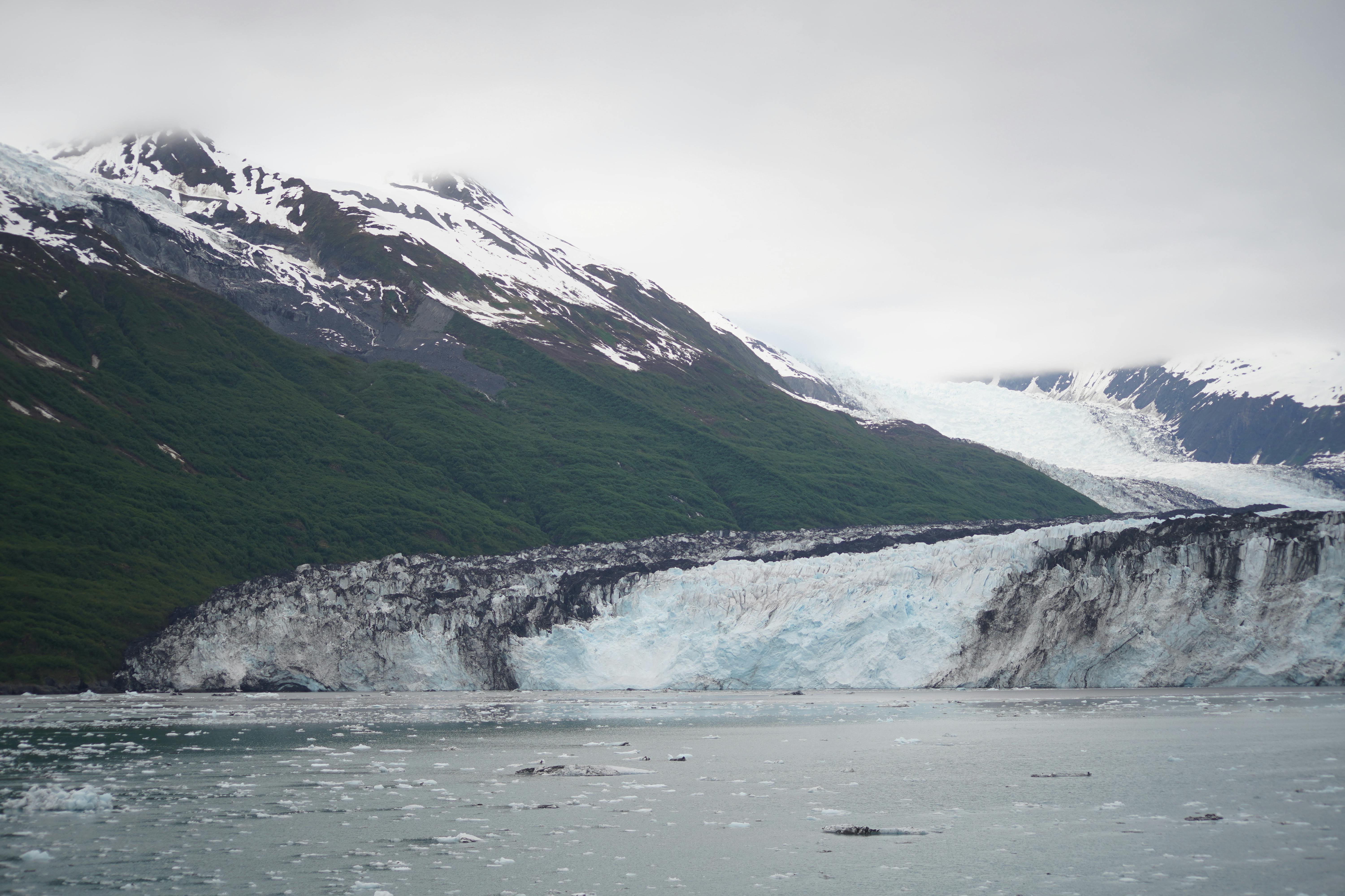 Alaska attorneys to provide free legal help on MLK Day holiday — Photo by Ben Jackson on Pexels