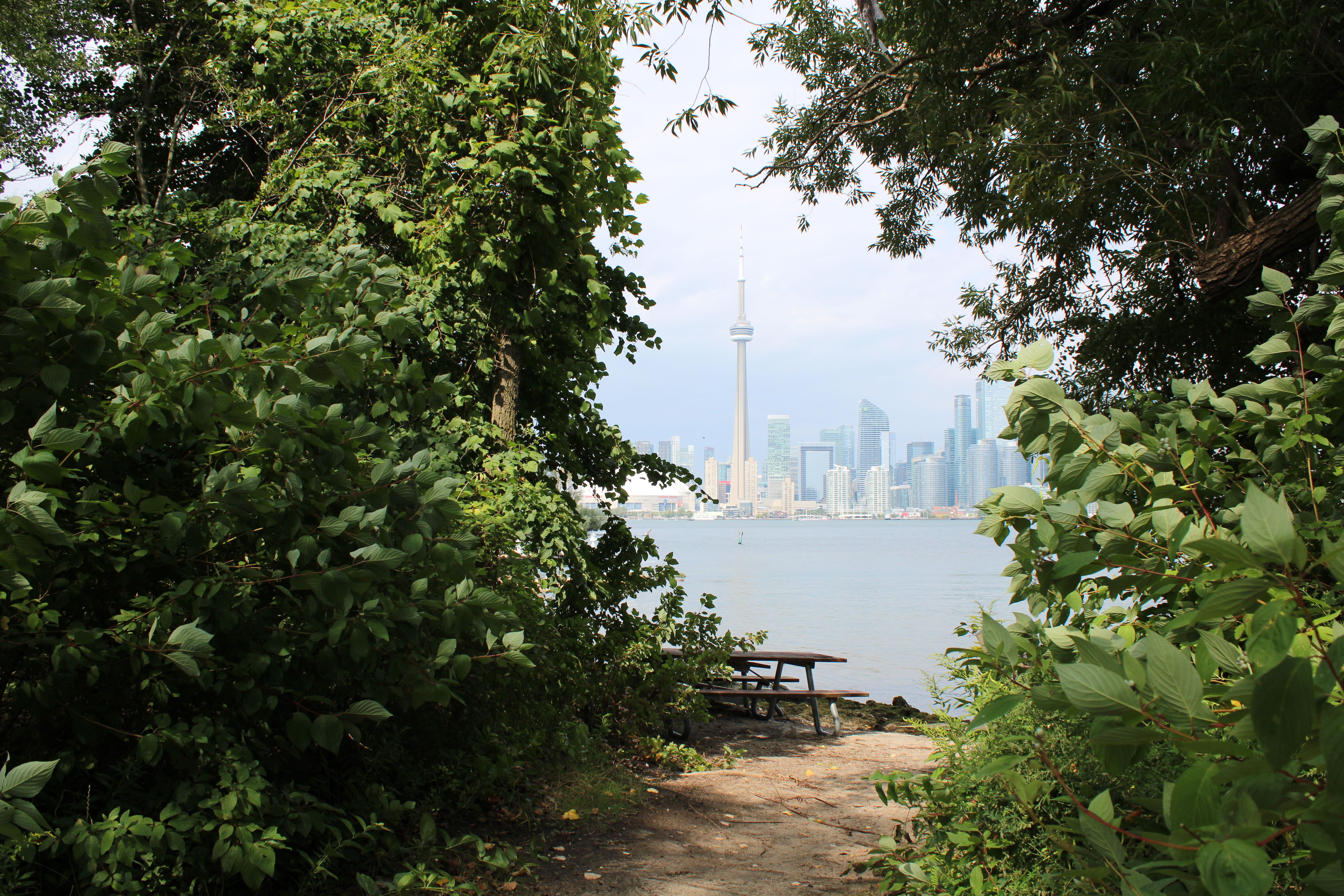 Scenic View of Toronto Skyline from Forest Edge · Free Stock Photo