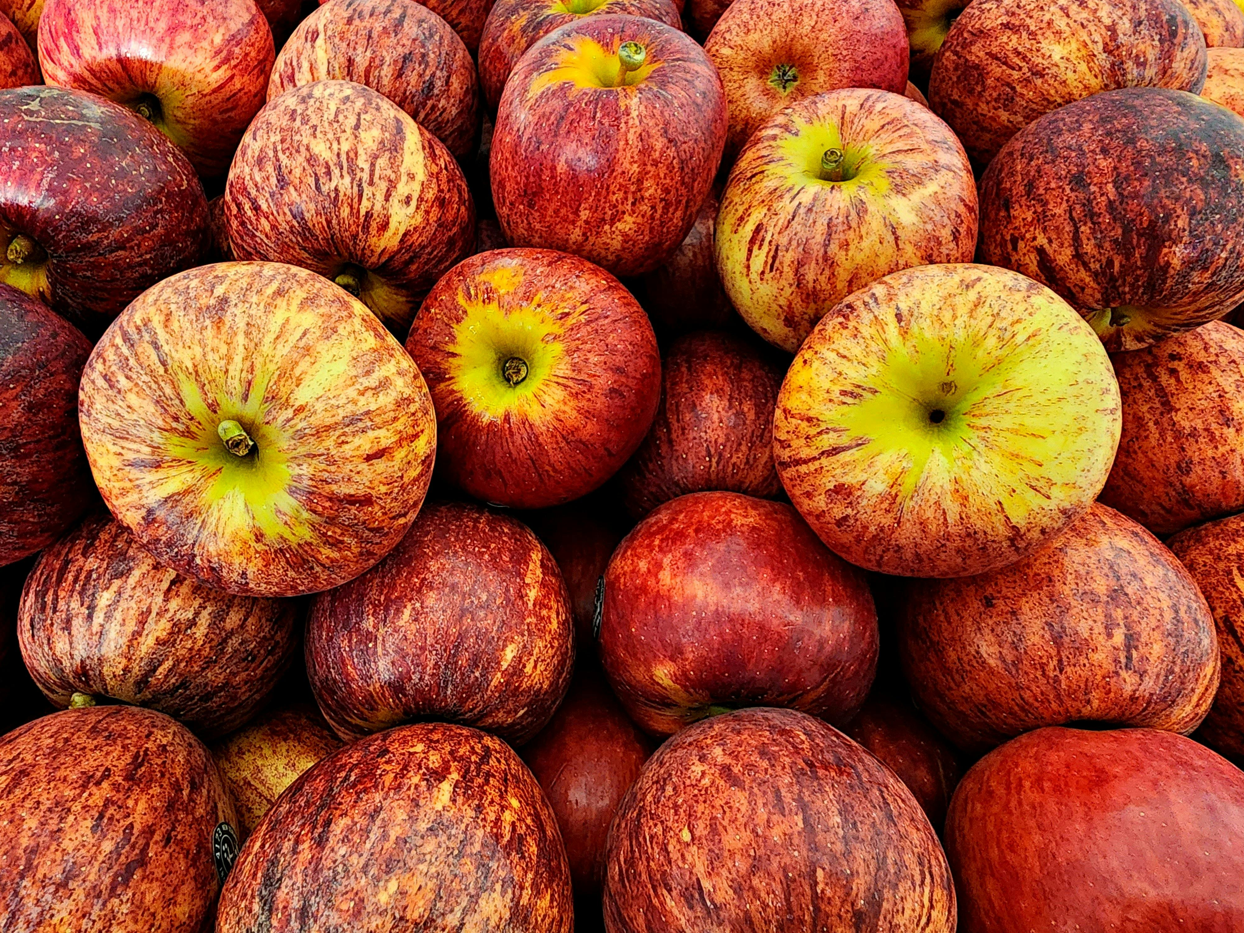 Introduction to Apple Cider Vinegar in Health Context