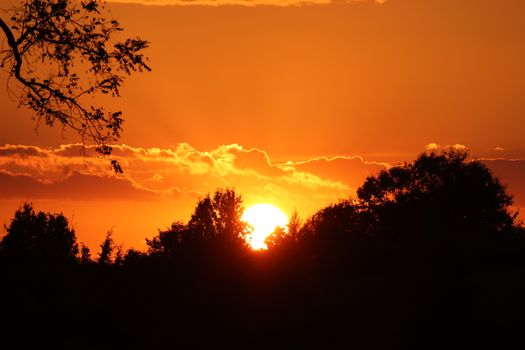 Breathtaking orange sunset with silhouetted trees in the foreground, creating a dramatic scene.