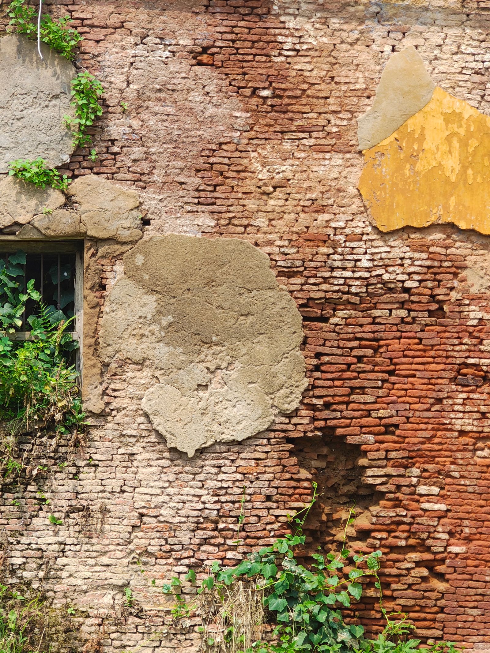 Weathering Photos, Download The BEST Free Weathering Stock Photos & HD ...