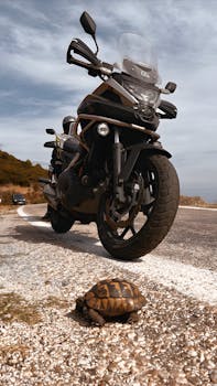 A striking shot of a motorcycle and tortoise on a scenic road under a clear sky.