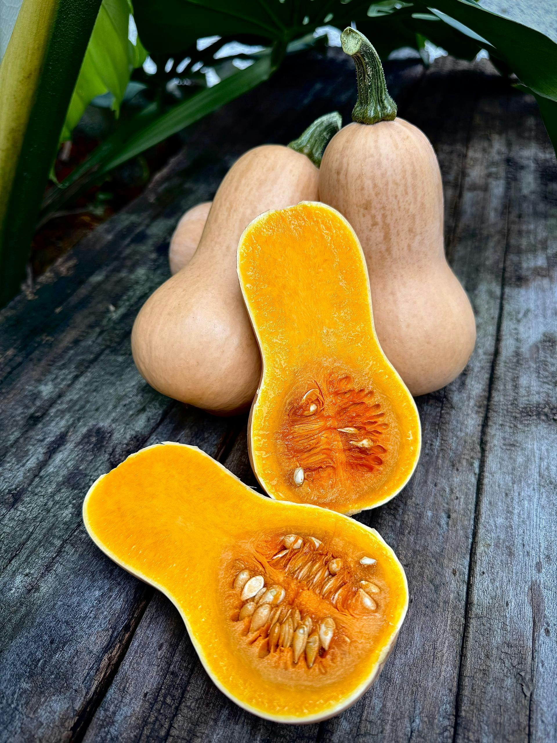 Butternut pumpkin