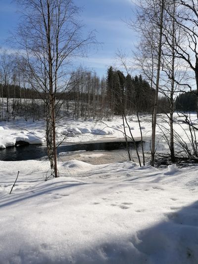 Ice Landscape Photos, Download The BEST Free Ice Landscape Stock Photos ...