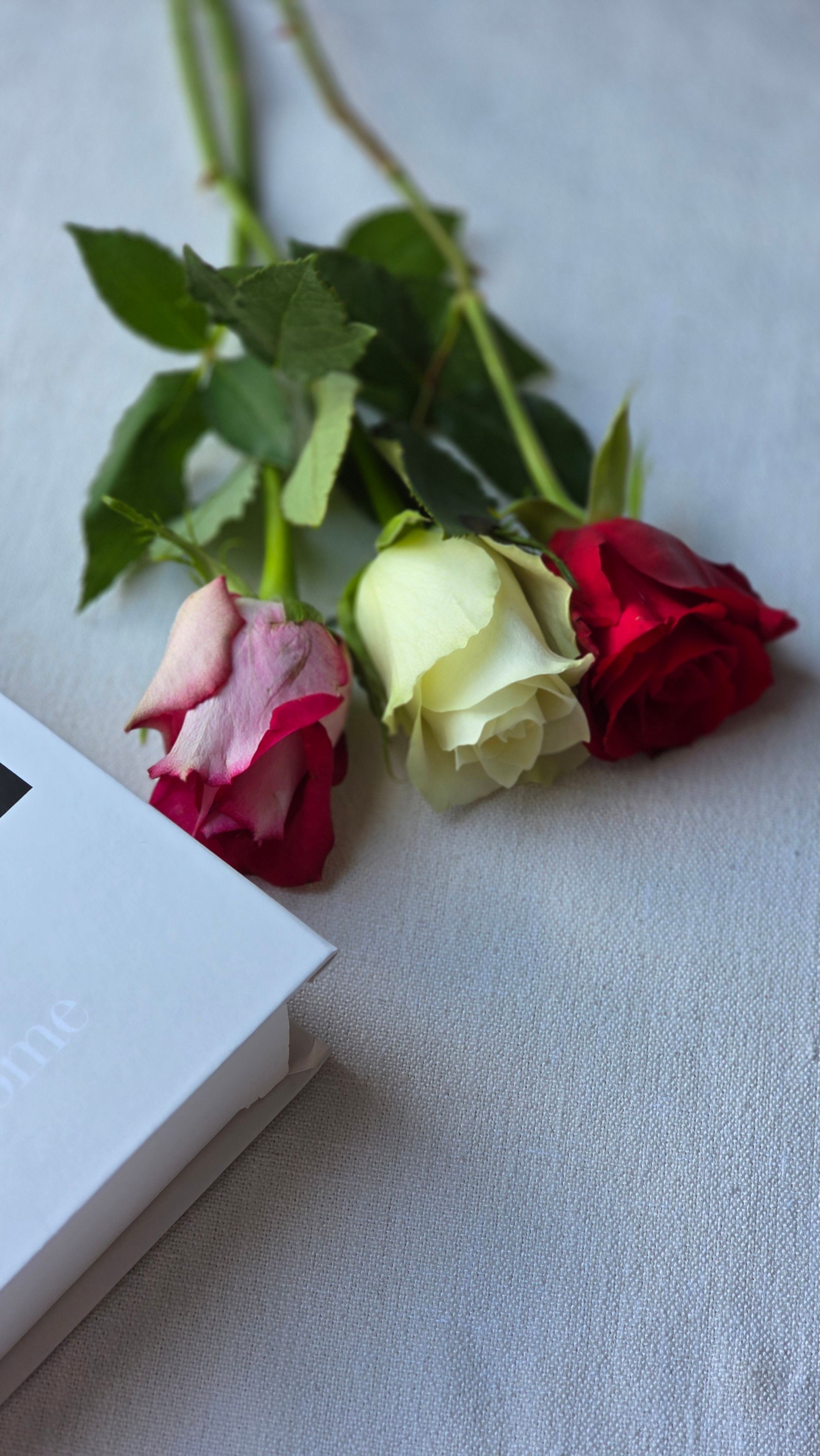 Three Roses with Book on a Table · Free Stock Photo