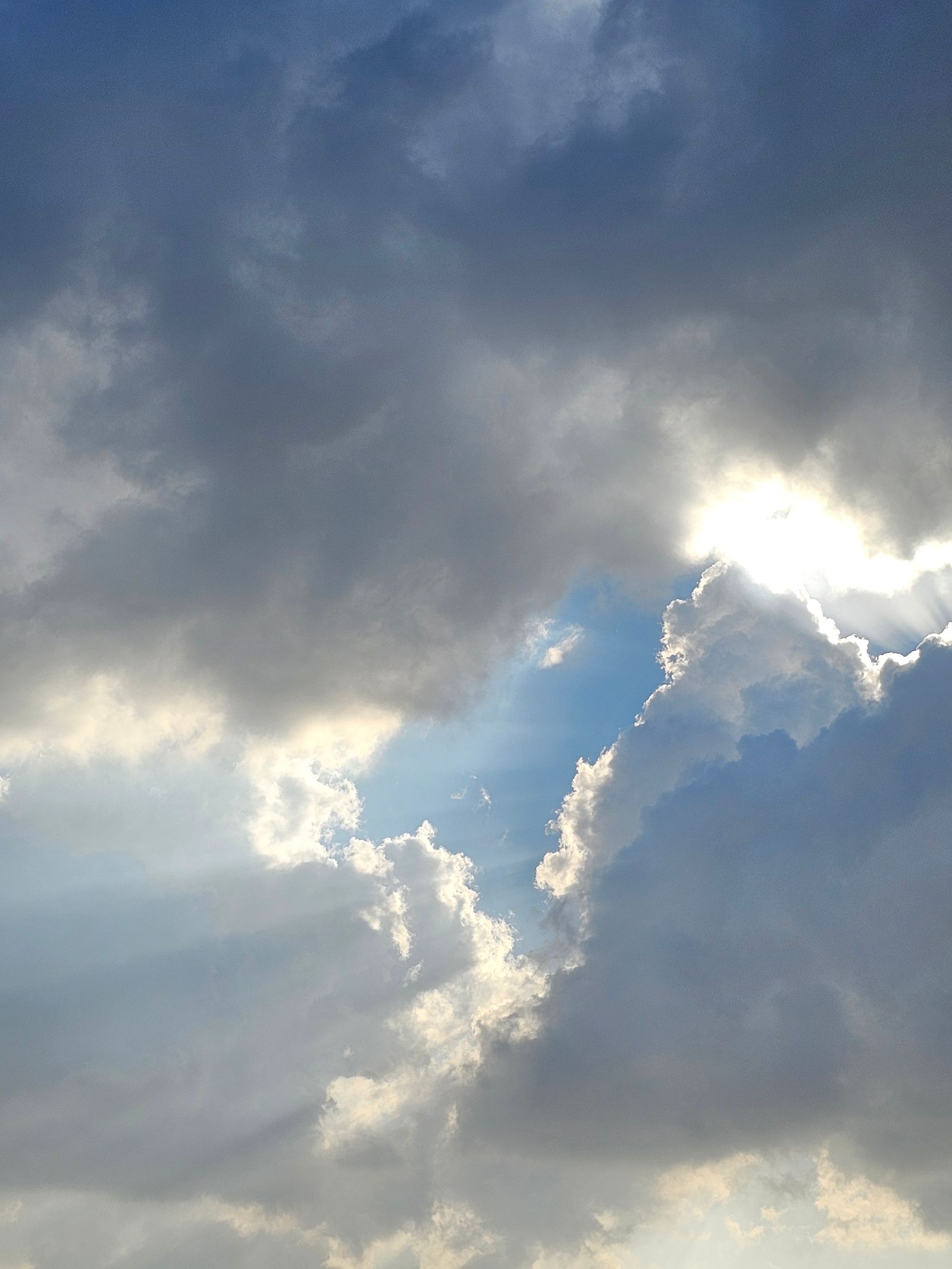 Light Rays Photos, Download The BEST Free Light Rays Stock Photos & HD ...