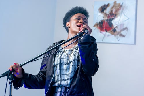 Kostnadsfri bild av afrikansk amerikan kvinna, artist, band