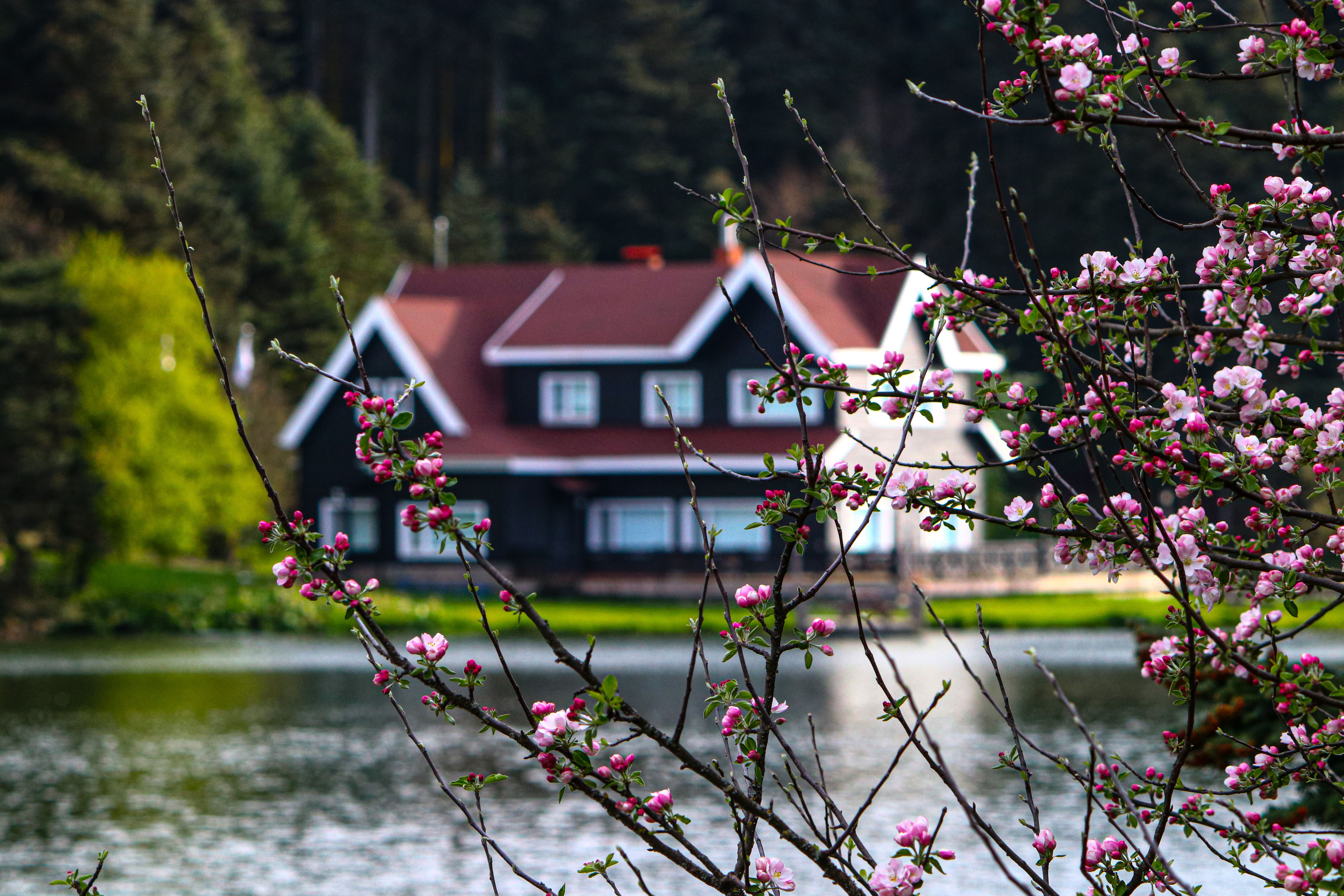 Gölcük Tabiat Parkı