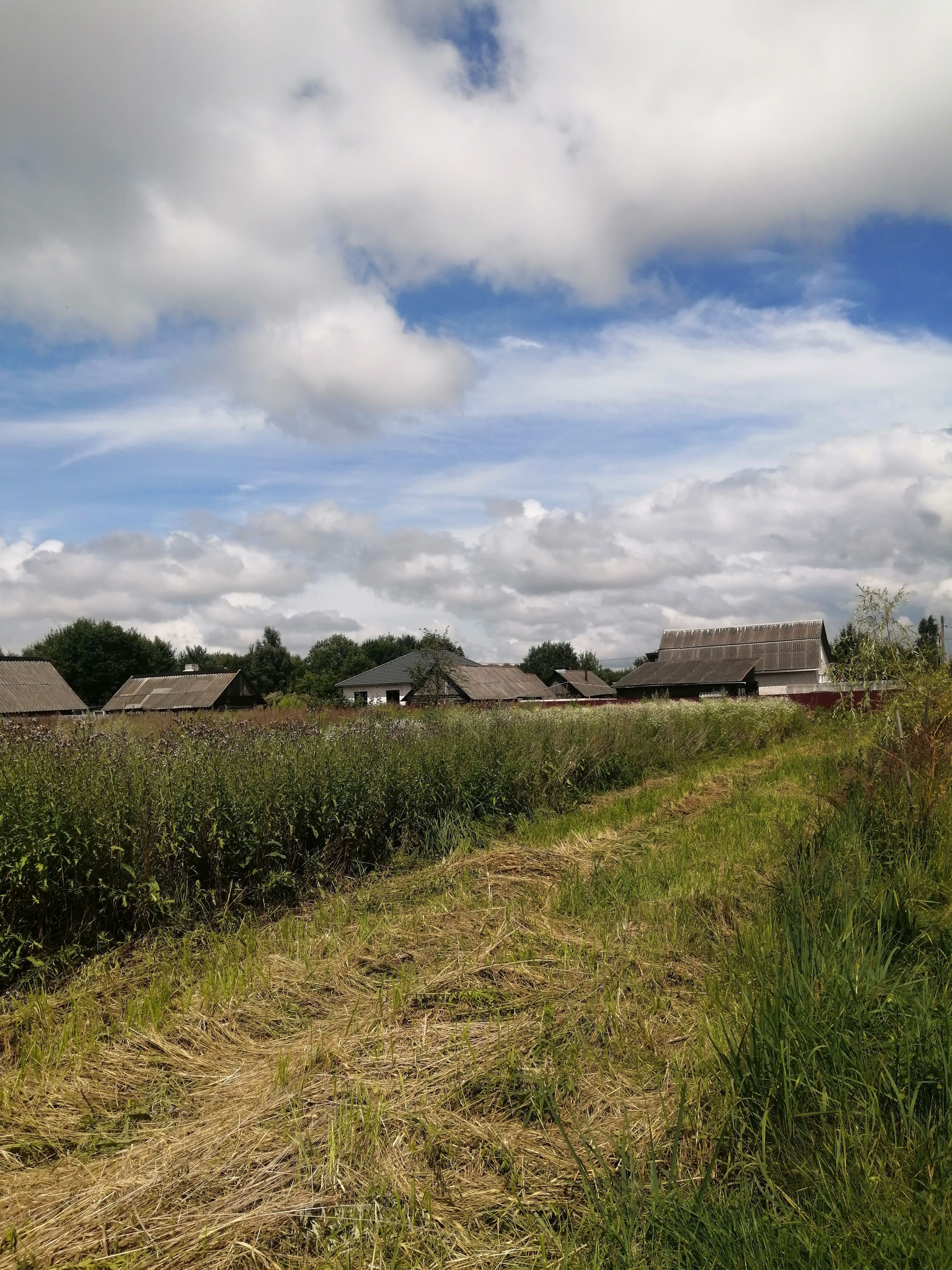 Picturesque Countryside Village Scene under Blue Skies · Free Stock Photo