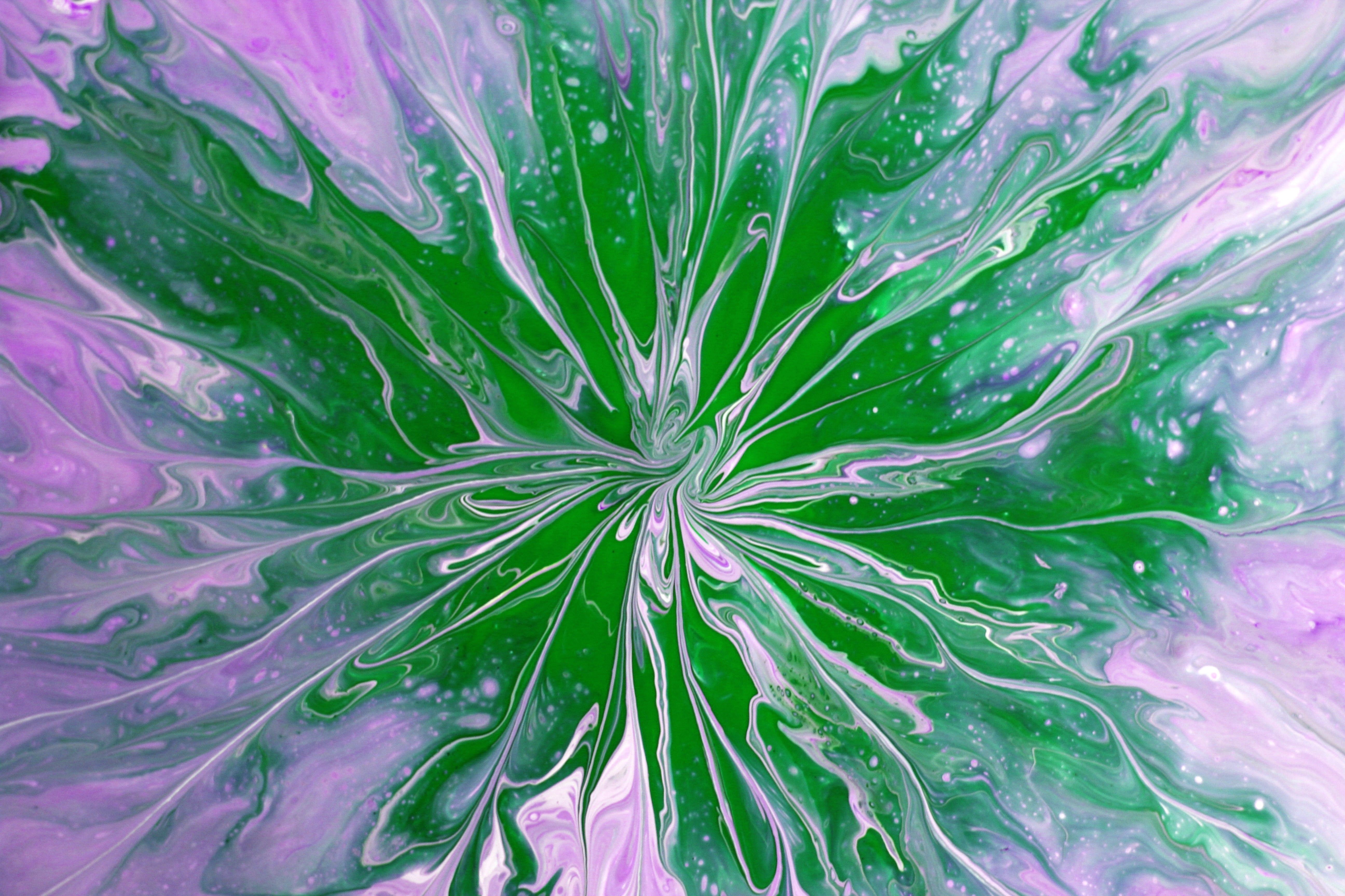 Abstract Green and Purple Swirl Art Design · Free Stock Photo