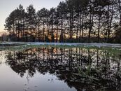Serene winter sunset with tree reflections in Geel, Belgium. Perfect for nature lovers.