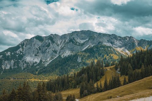 Free Explore the breathtaking alpine mountain landscape with lush forests under dramatic skies in autumn. Stock Photo