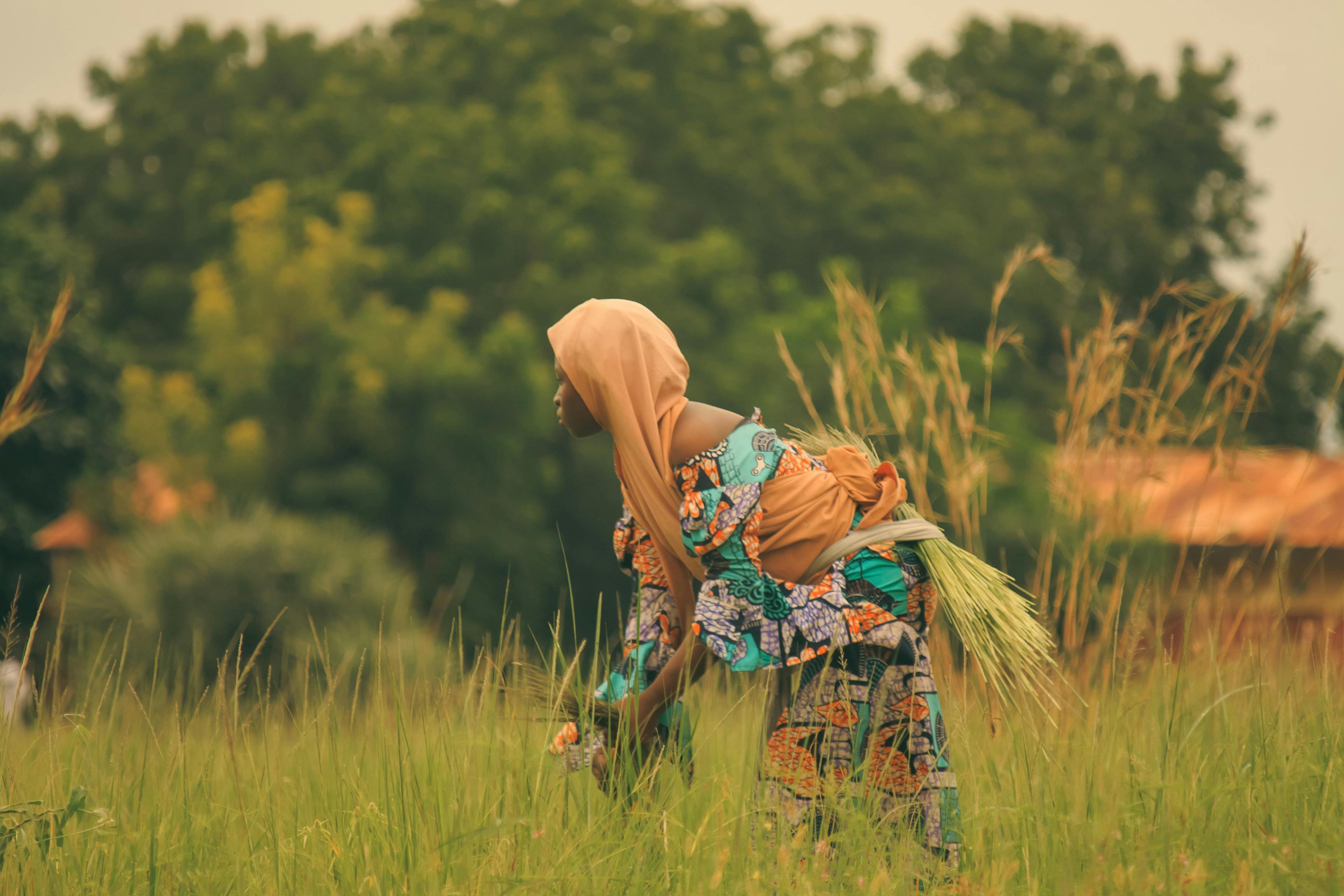 Clothed+And+Unclothed Photos, Download The BEST Free Clothed+And+Unclothed Stock Photos & HD Images