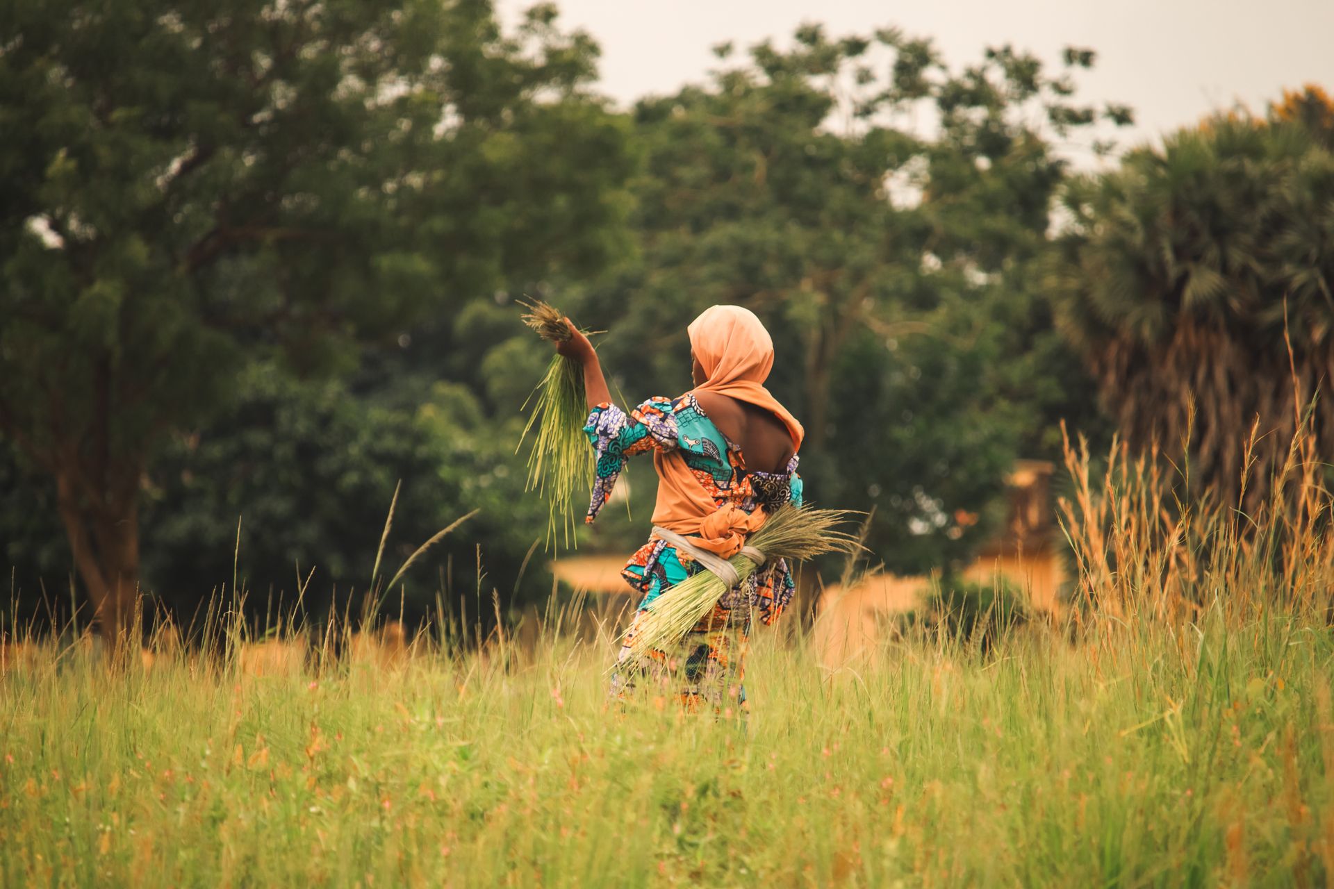 A woman in colorful attire harvesting grass in a lush, green field on a sunny day.