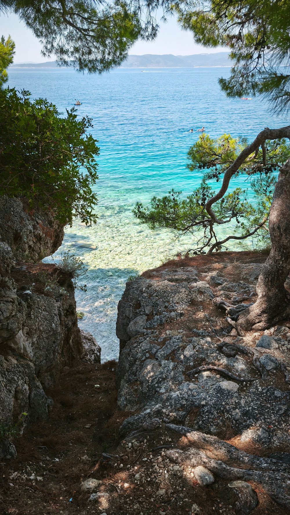 Golf cu apă turcoaz mărginit de pini pe coasta croată, în zona Brela