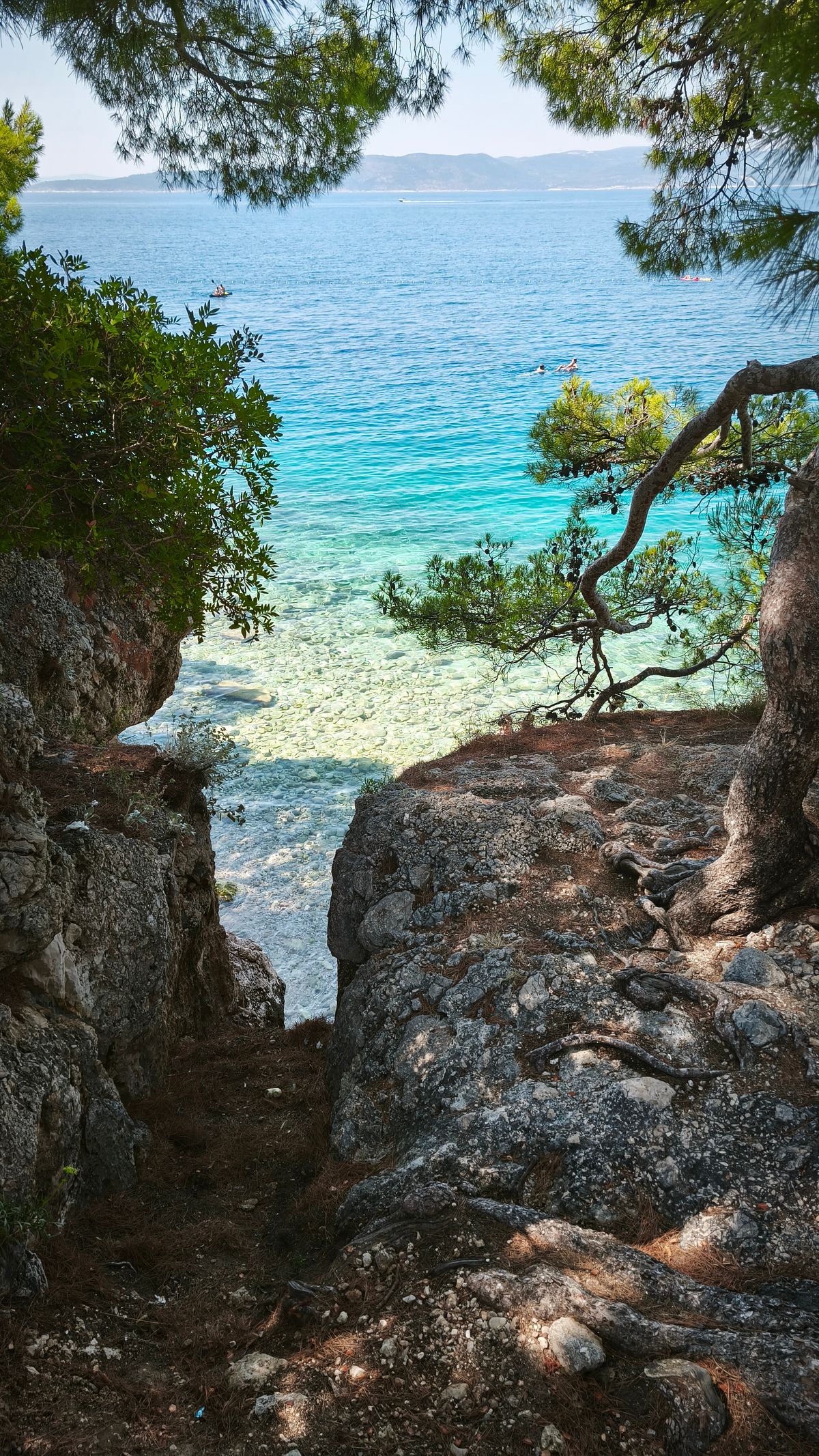A turquoise bay fringed with pines on the Croatian coast