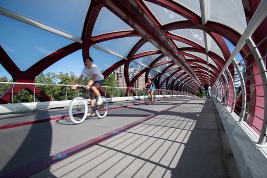 Cyclists enjoying a sunny ride across the iconic Peace Bridge in Calgary, Alberta.
