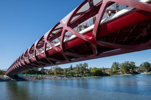 View of Calgary's iconic Peace Bridge over the Bow River on a sunny day.