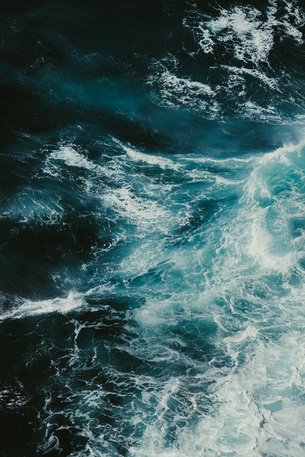 Water Waves on the Ocean · Free Stock Photo