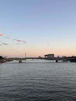 Beautiful sunset over the Rhine River in Cologne, depicting a bridge and modern architecture.